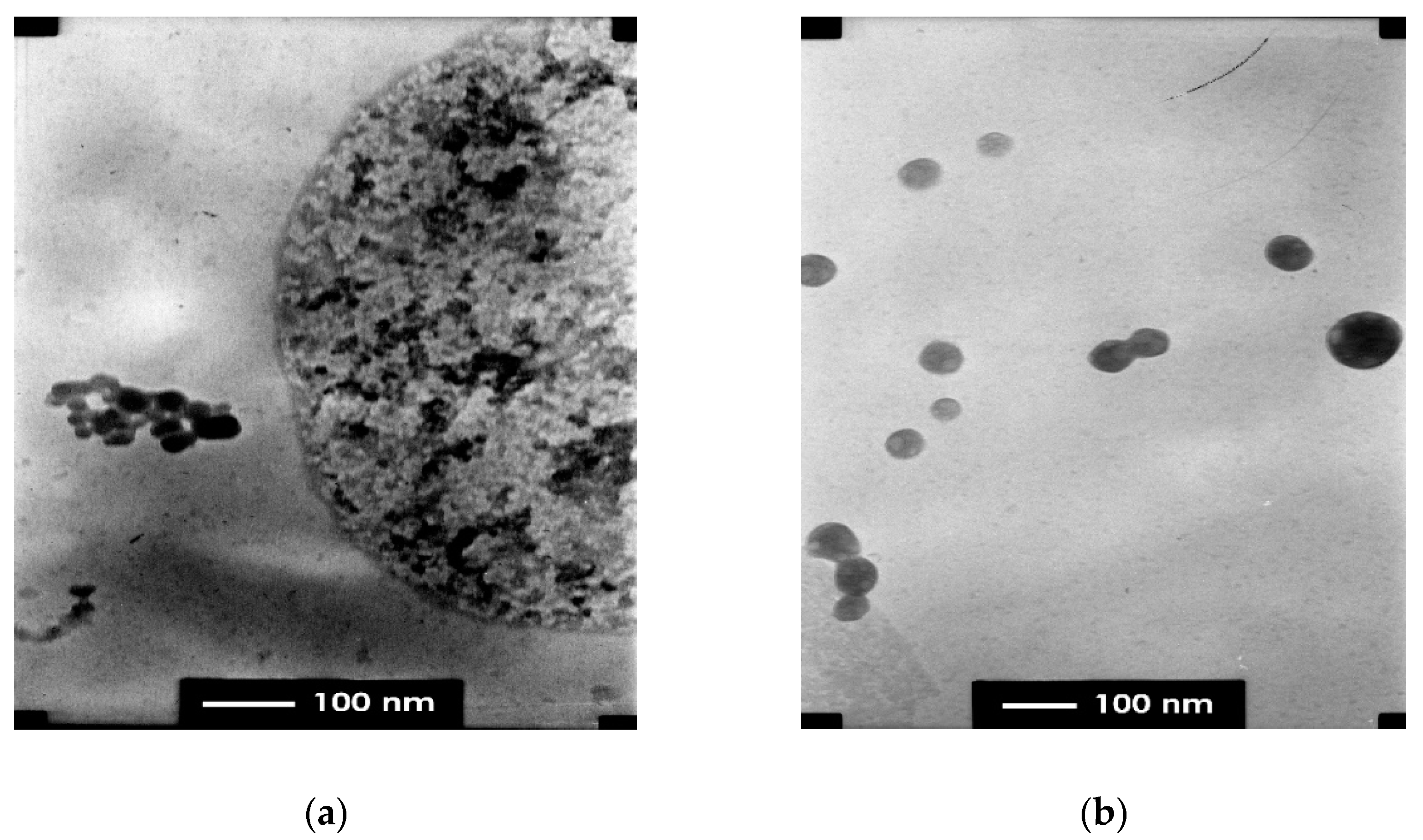 Applsci 12 01096 g004