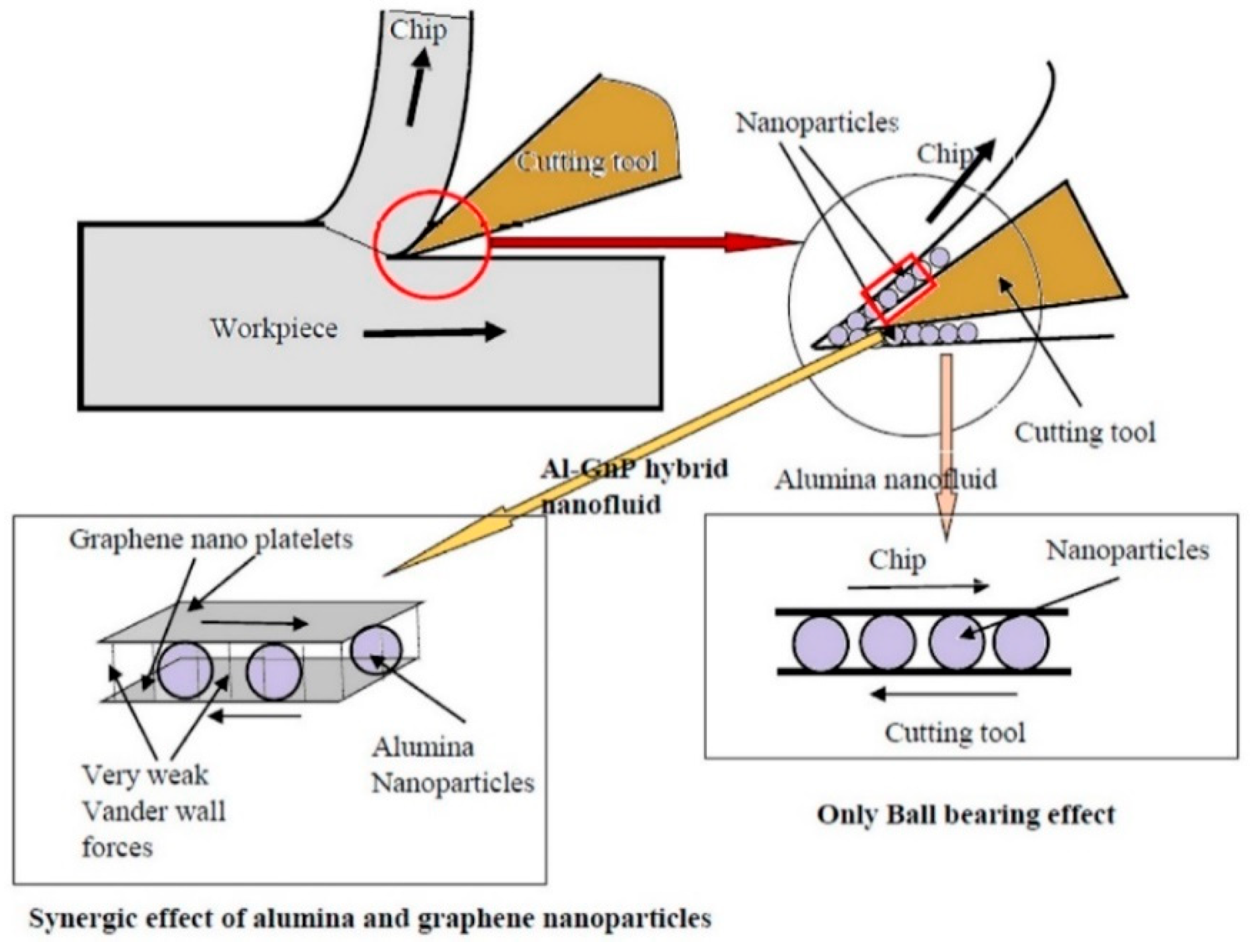 Applsci 12 01115 g002
