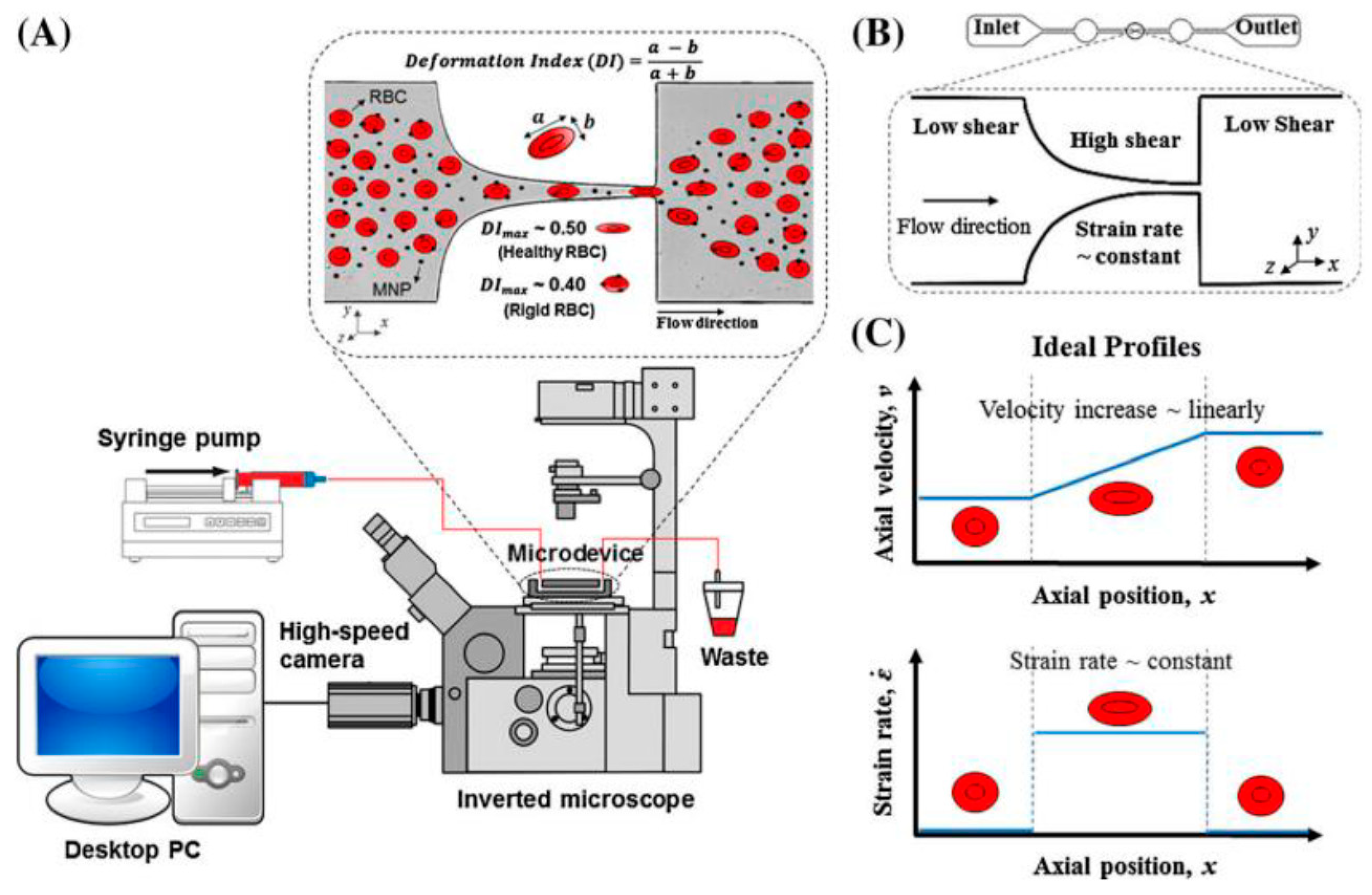 Applsci 12 01115 g004