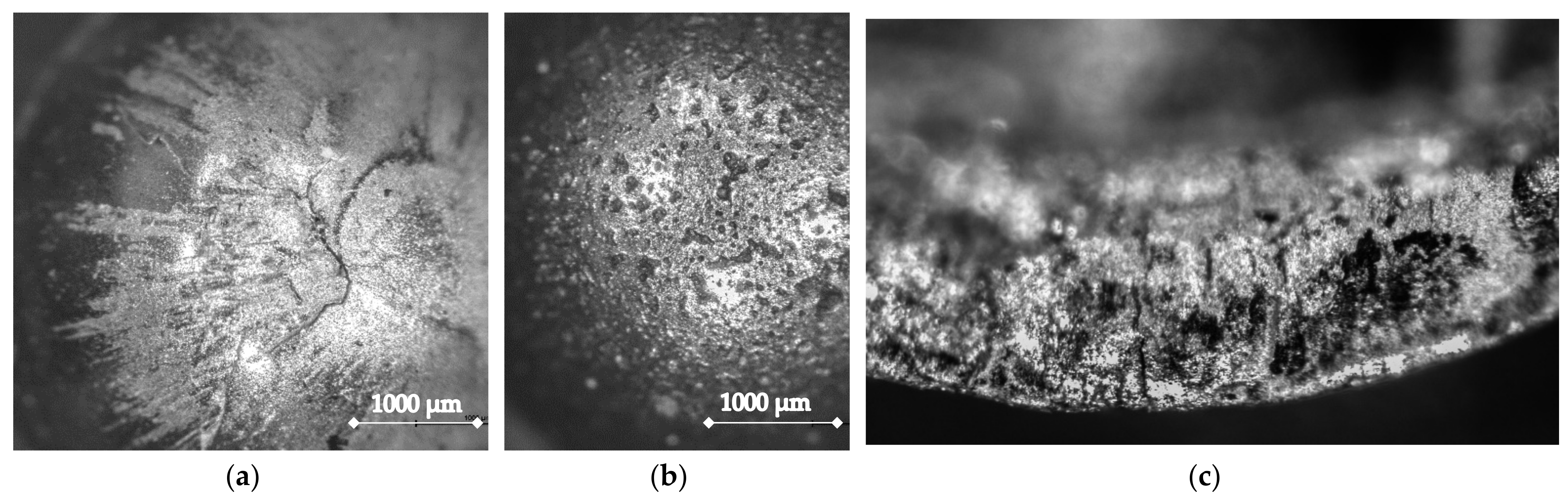 Applsci 12 01133 g003