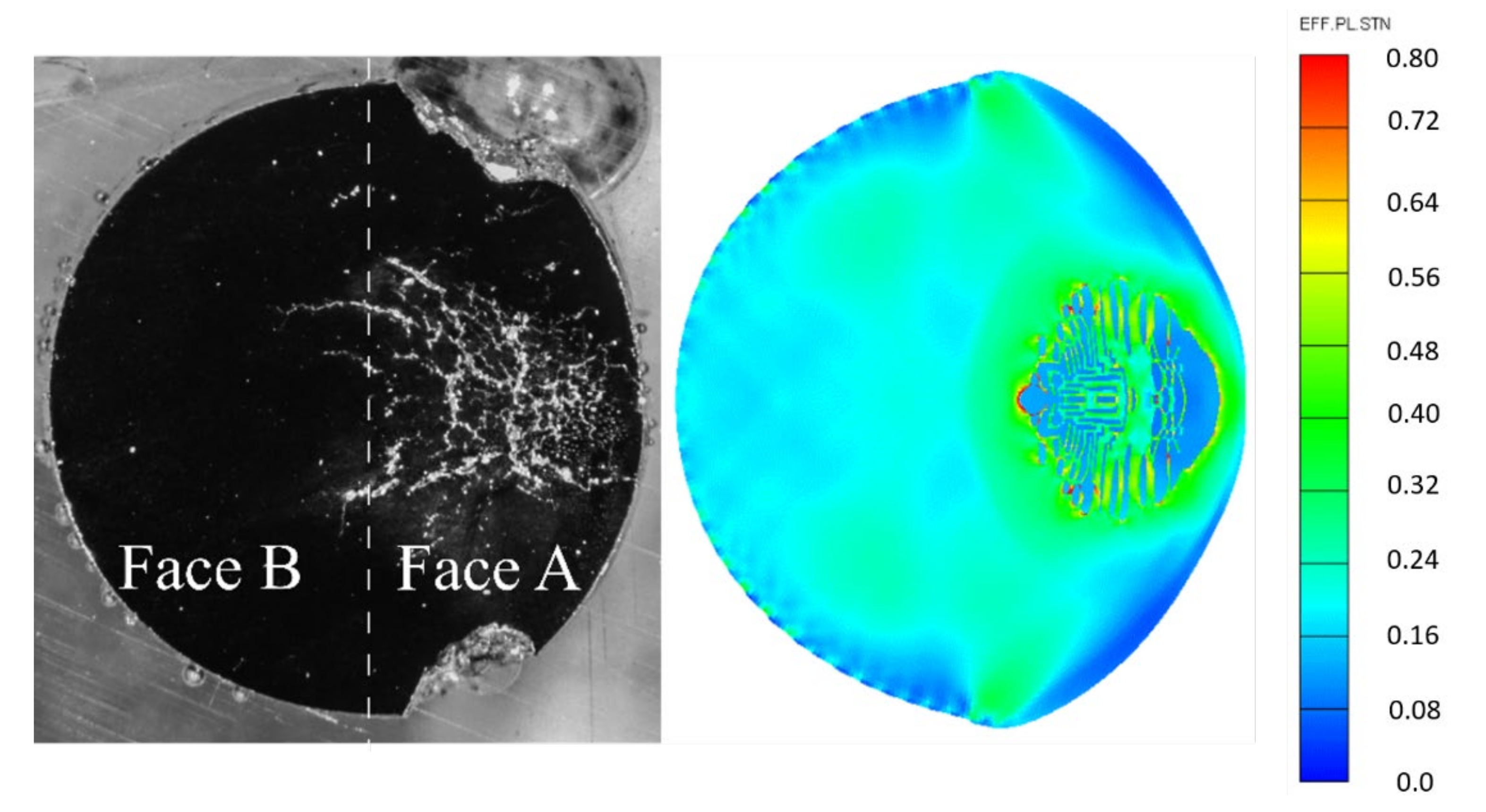 Applsci 12 01133 g008