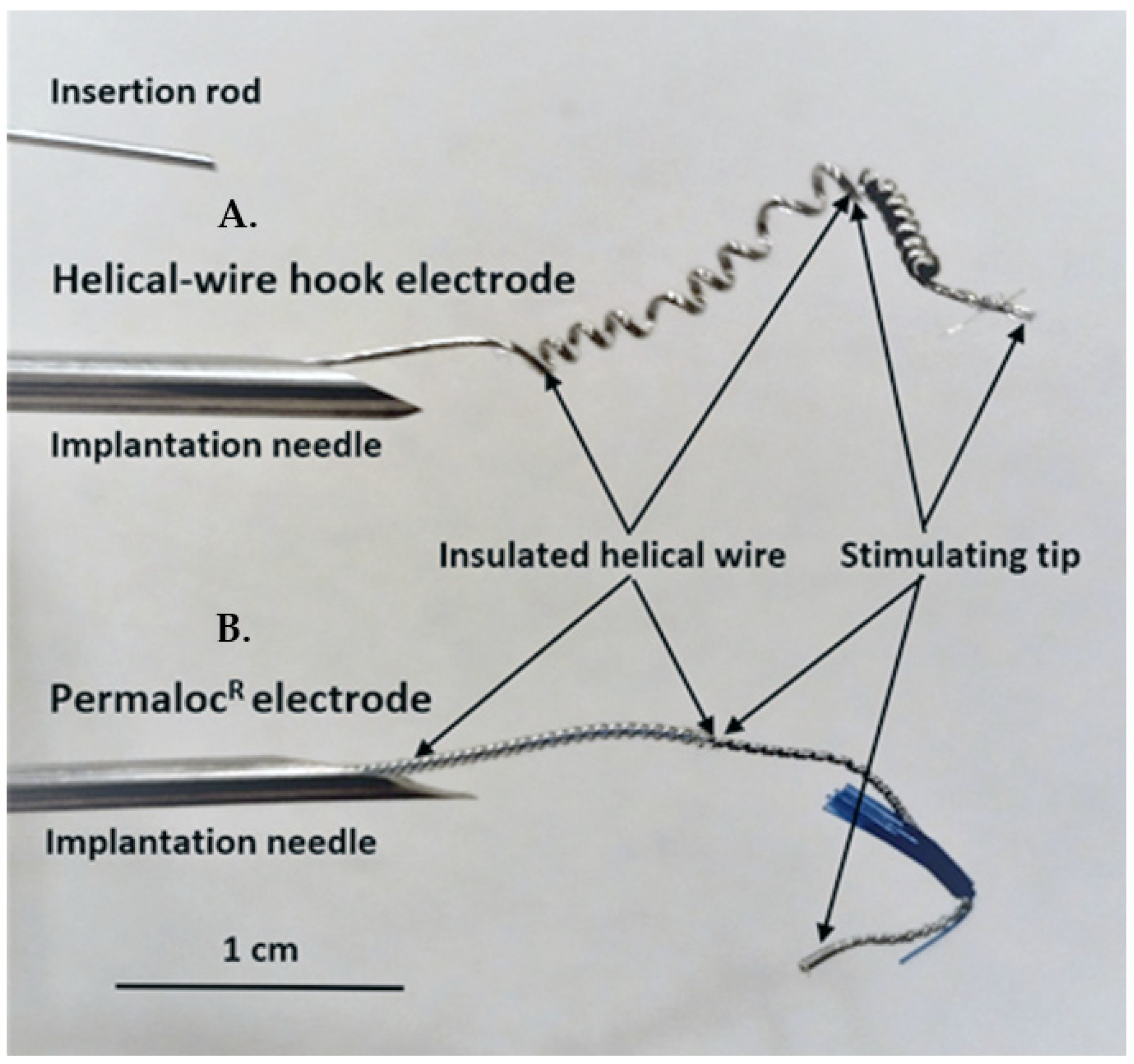 Applsci 12 01149 g001