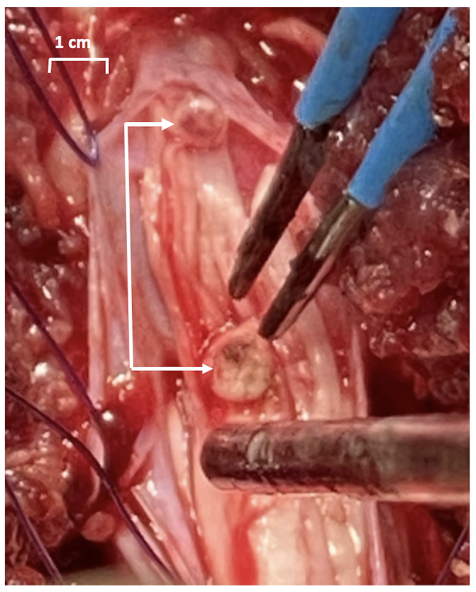Applsci 12 01149 g002