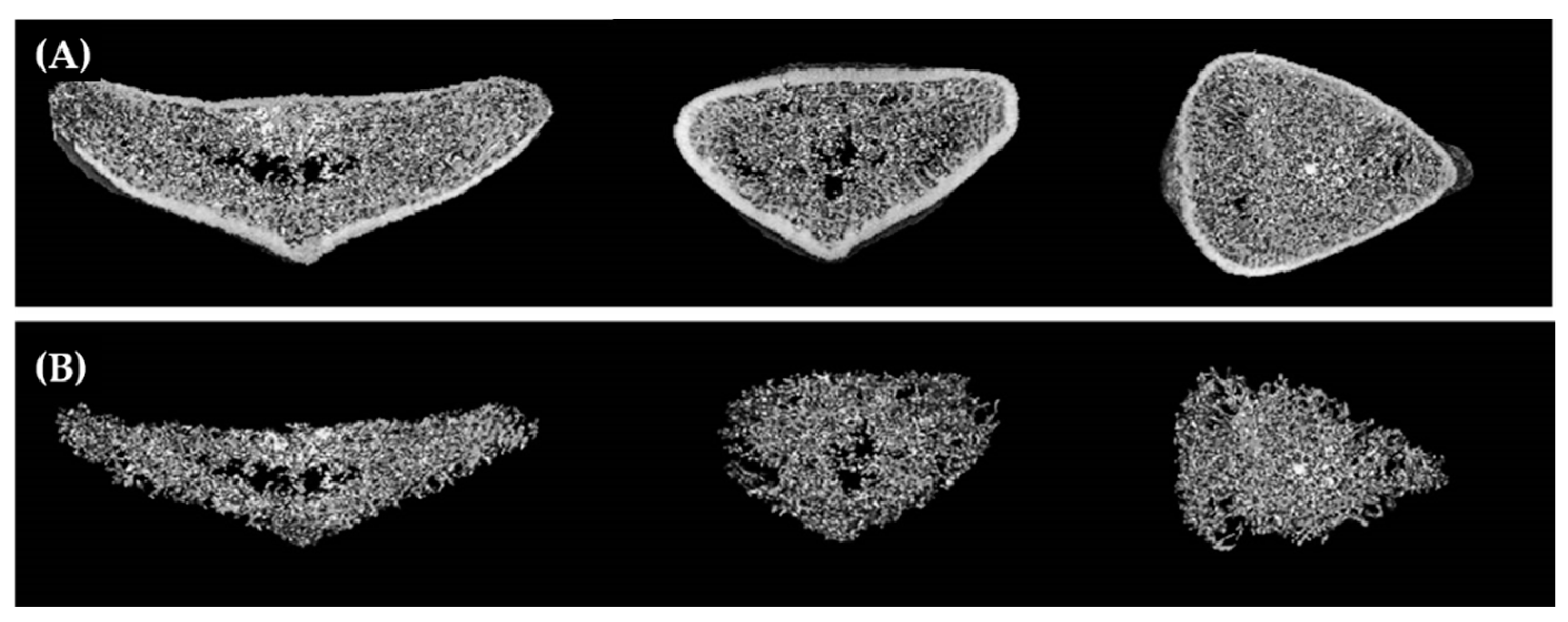 Applsci 12 01163 g001