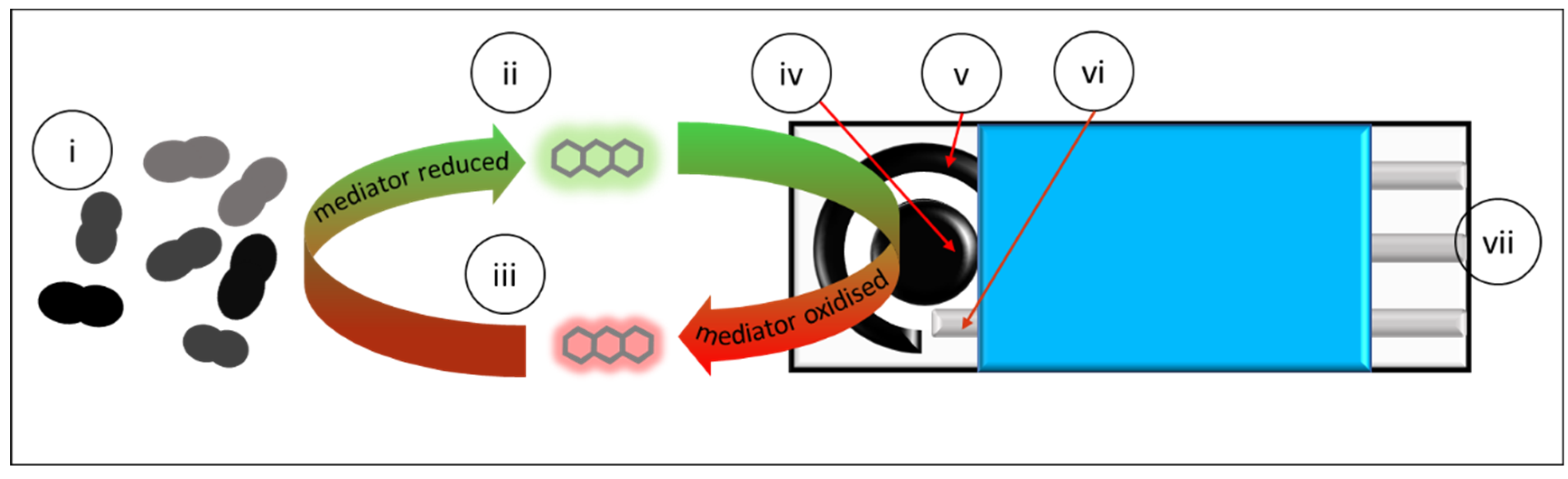 Applsci 12 01257 g001