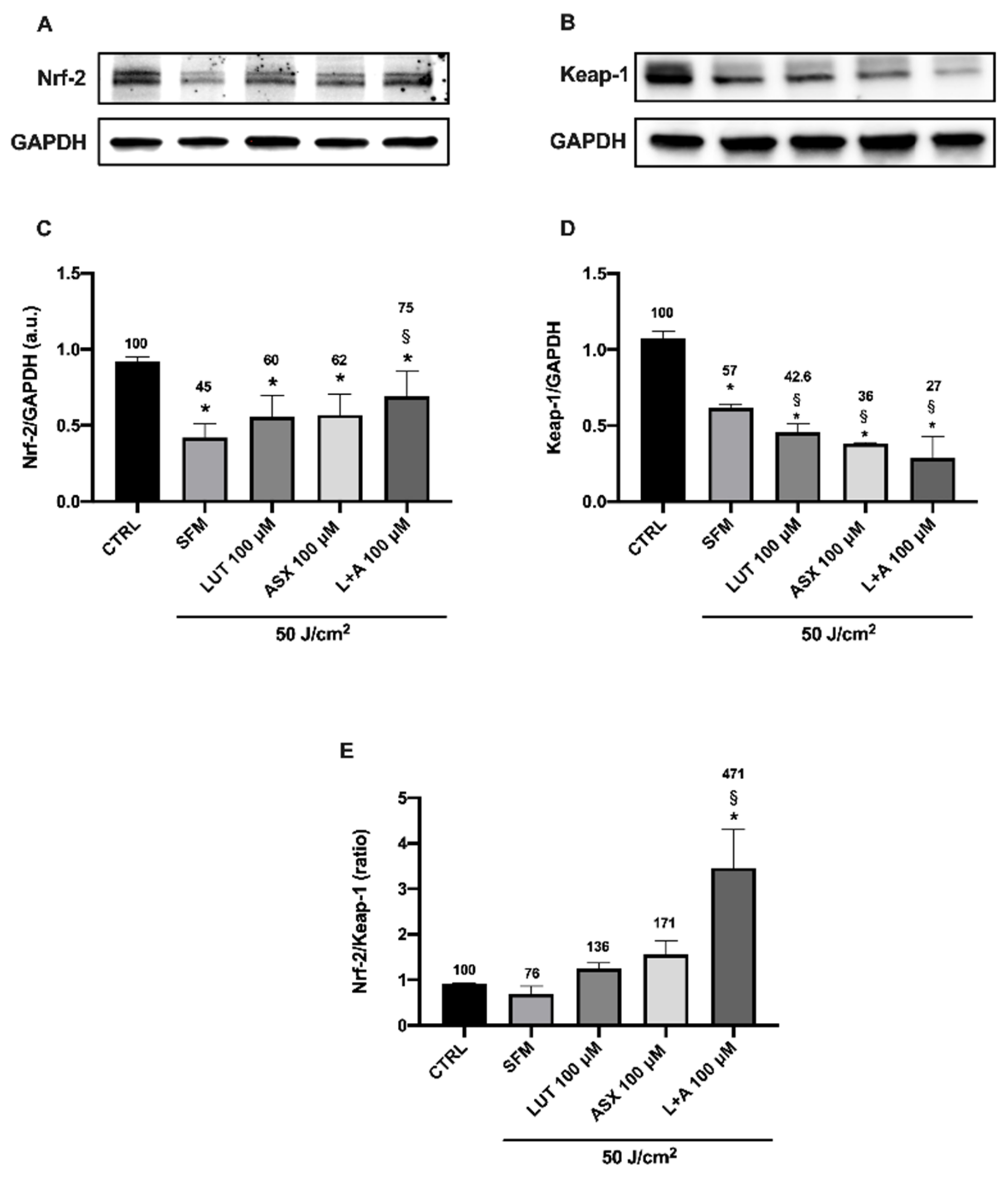 Applsci 12 01268 g005