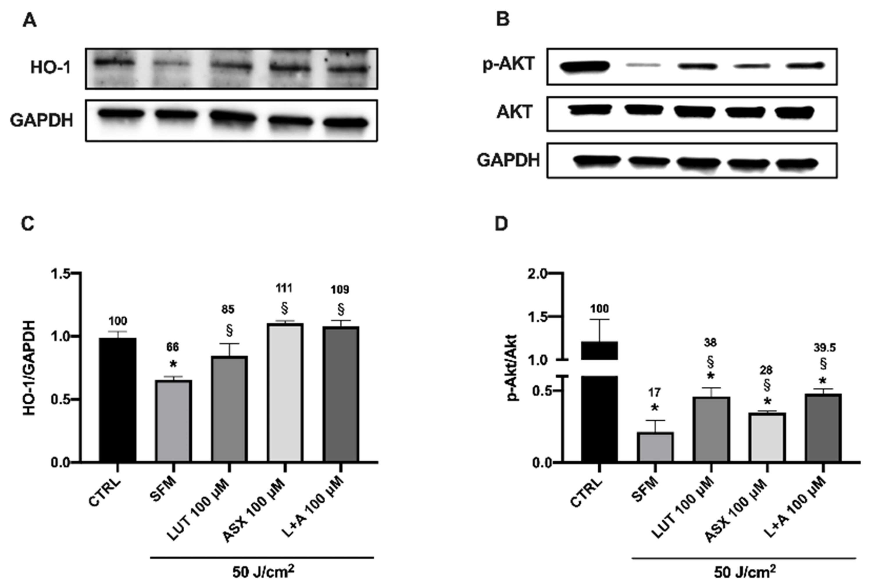 Applsci 12 01268 g006