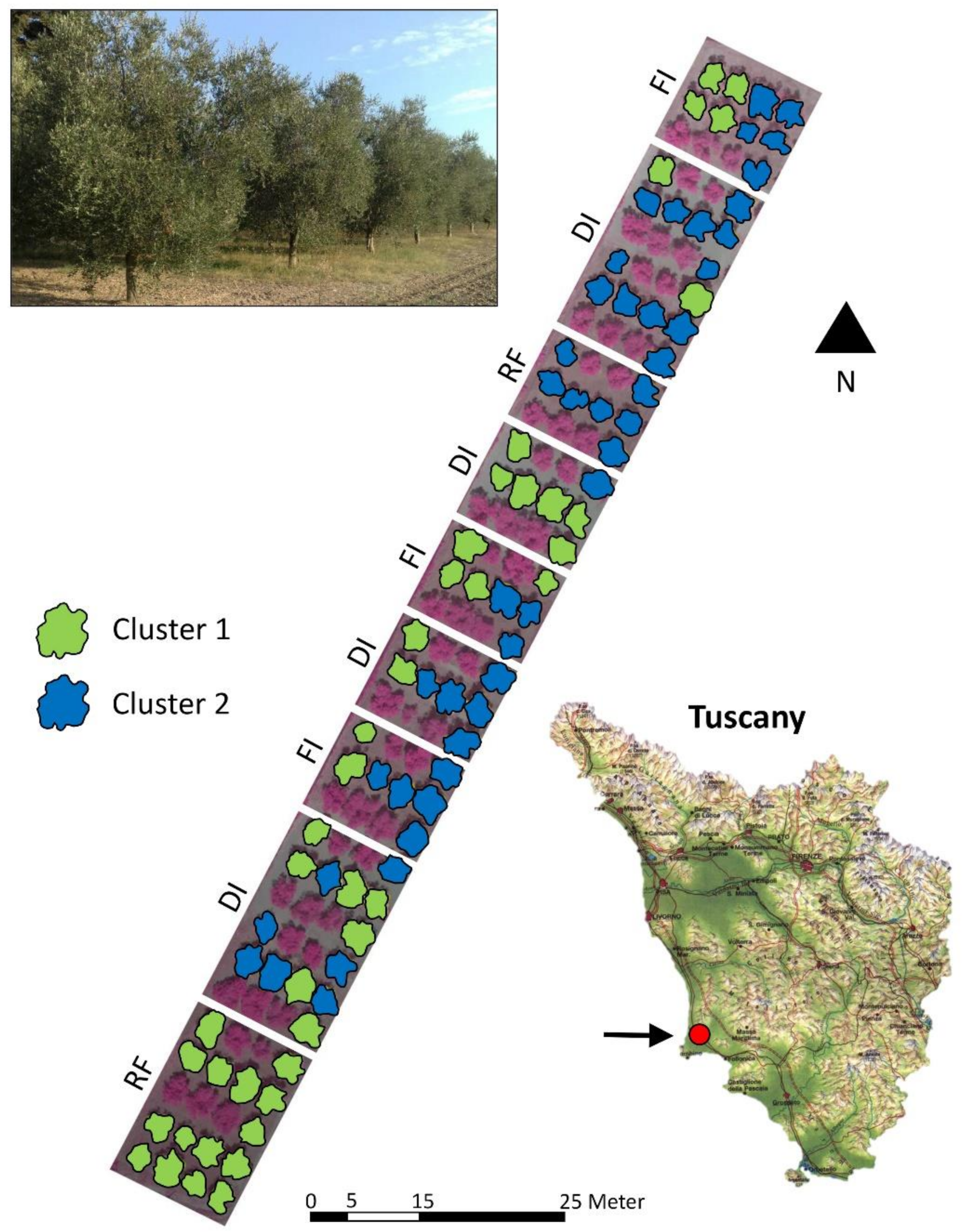 Applsci 12 01309 g001