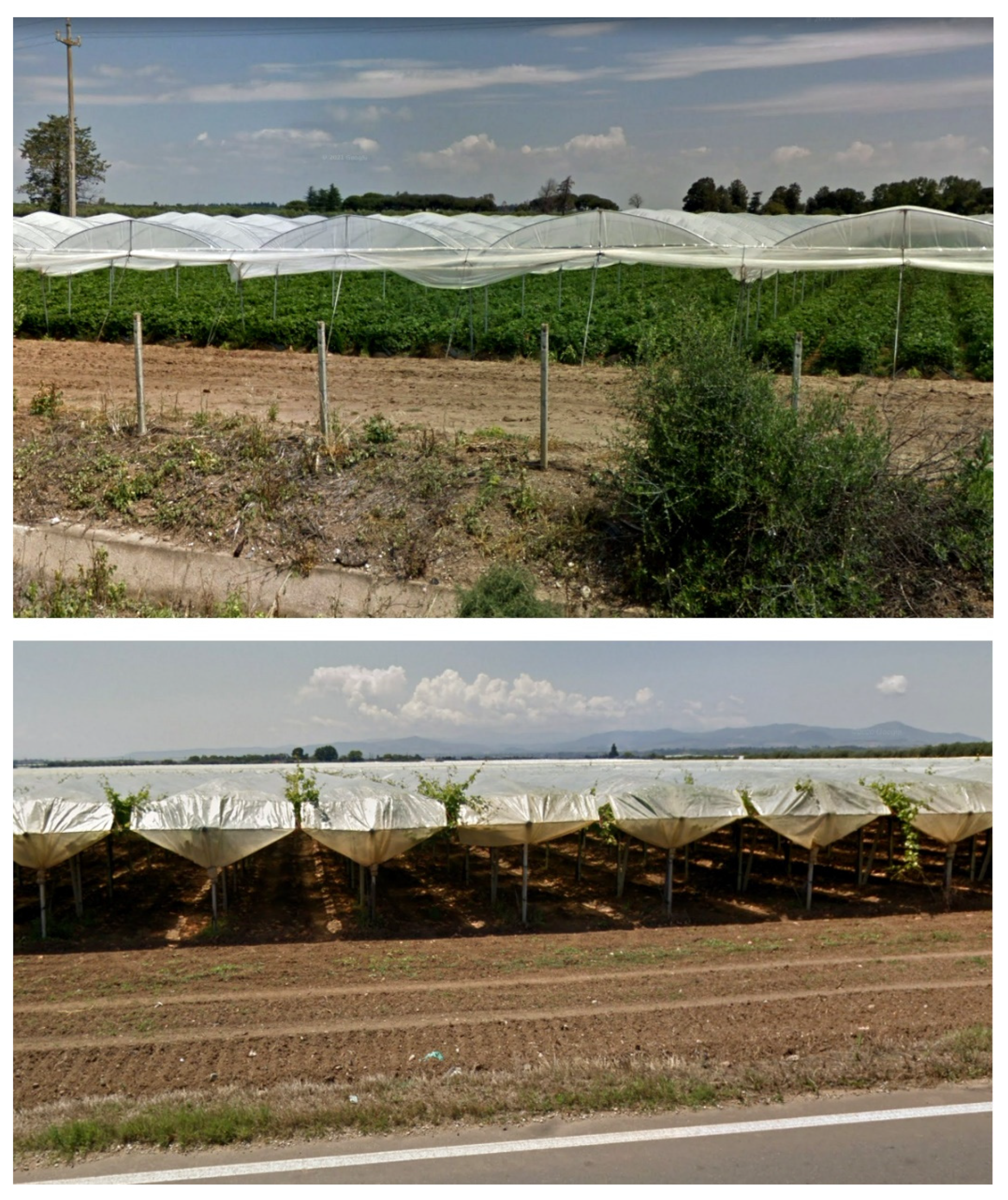 Applsci 12 01330 g002