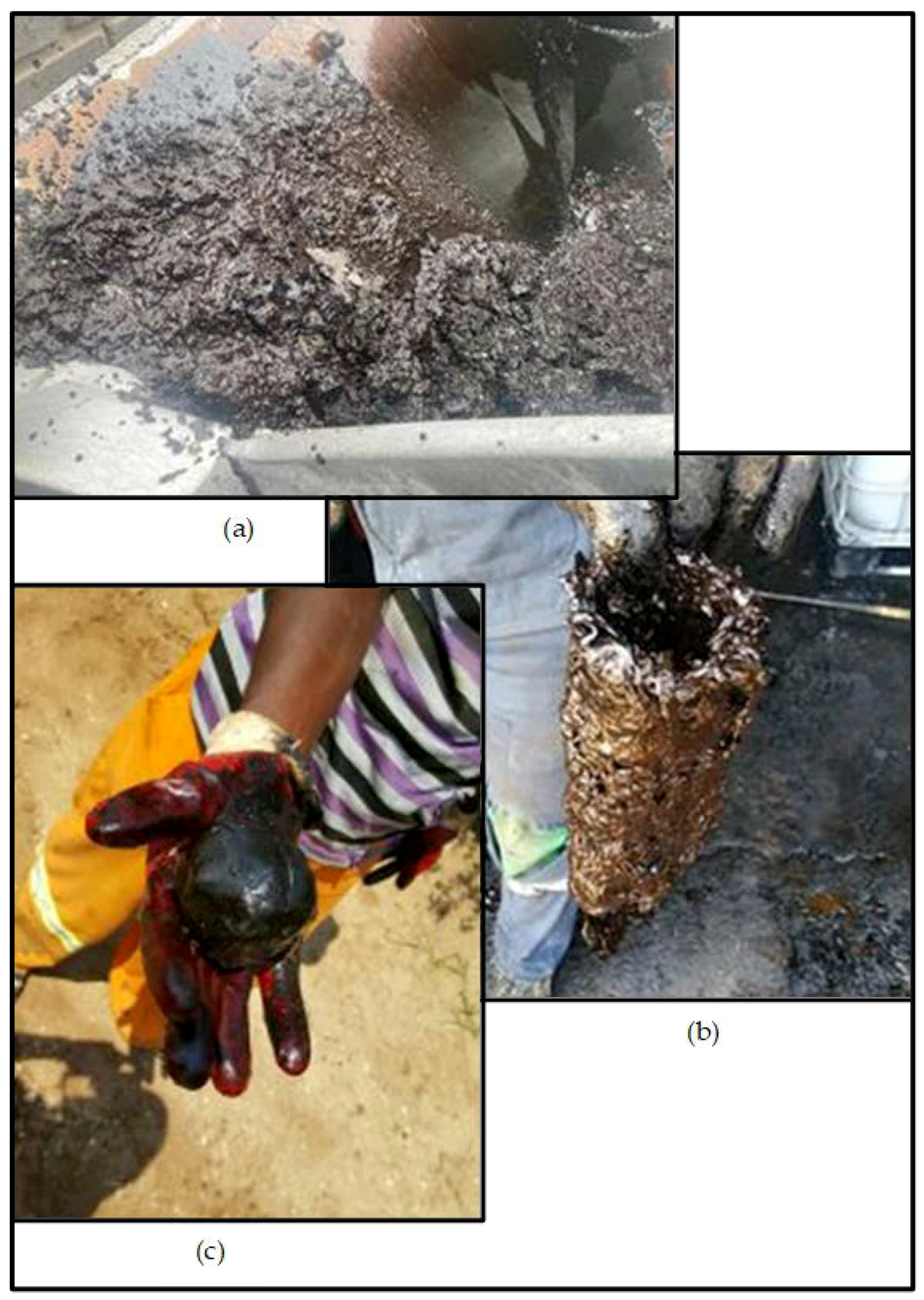 Applsci 12 01332 g006