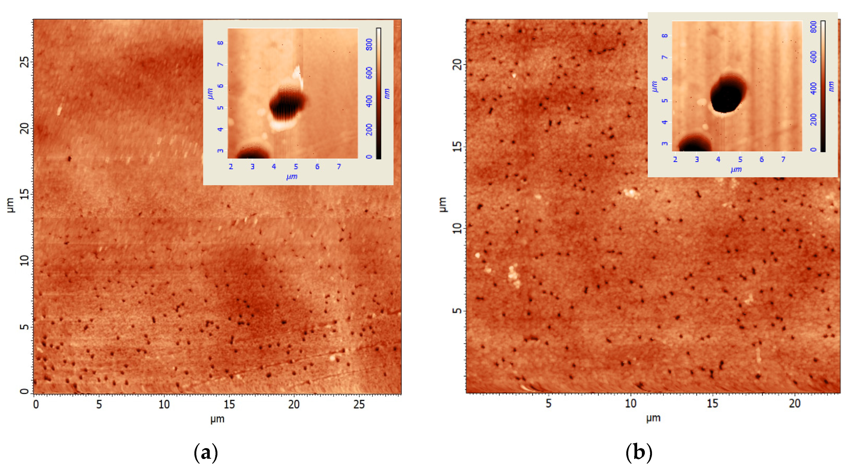 Applsci 12 01334 g003