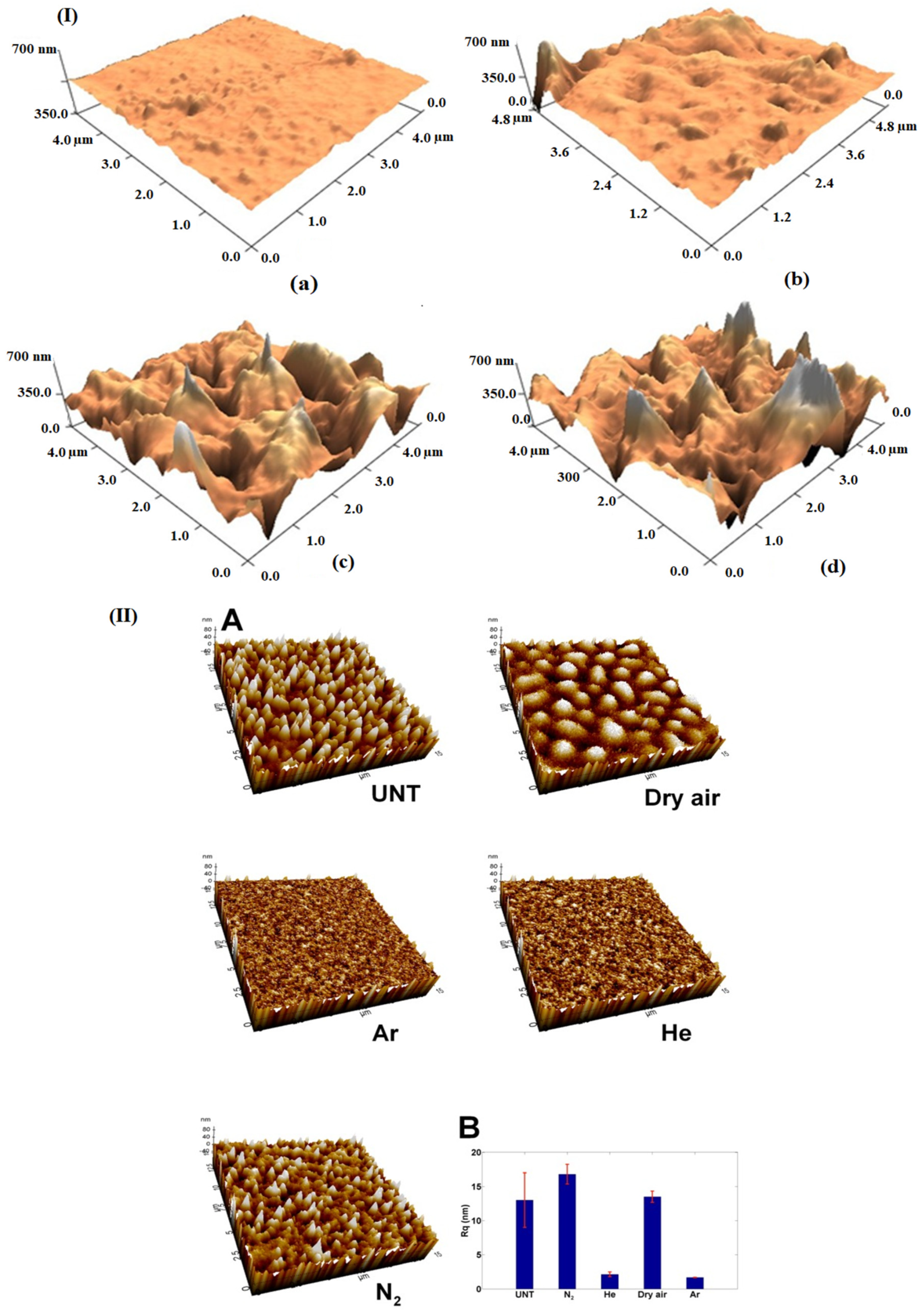 Applsci 12 01346 g003