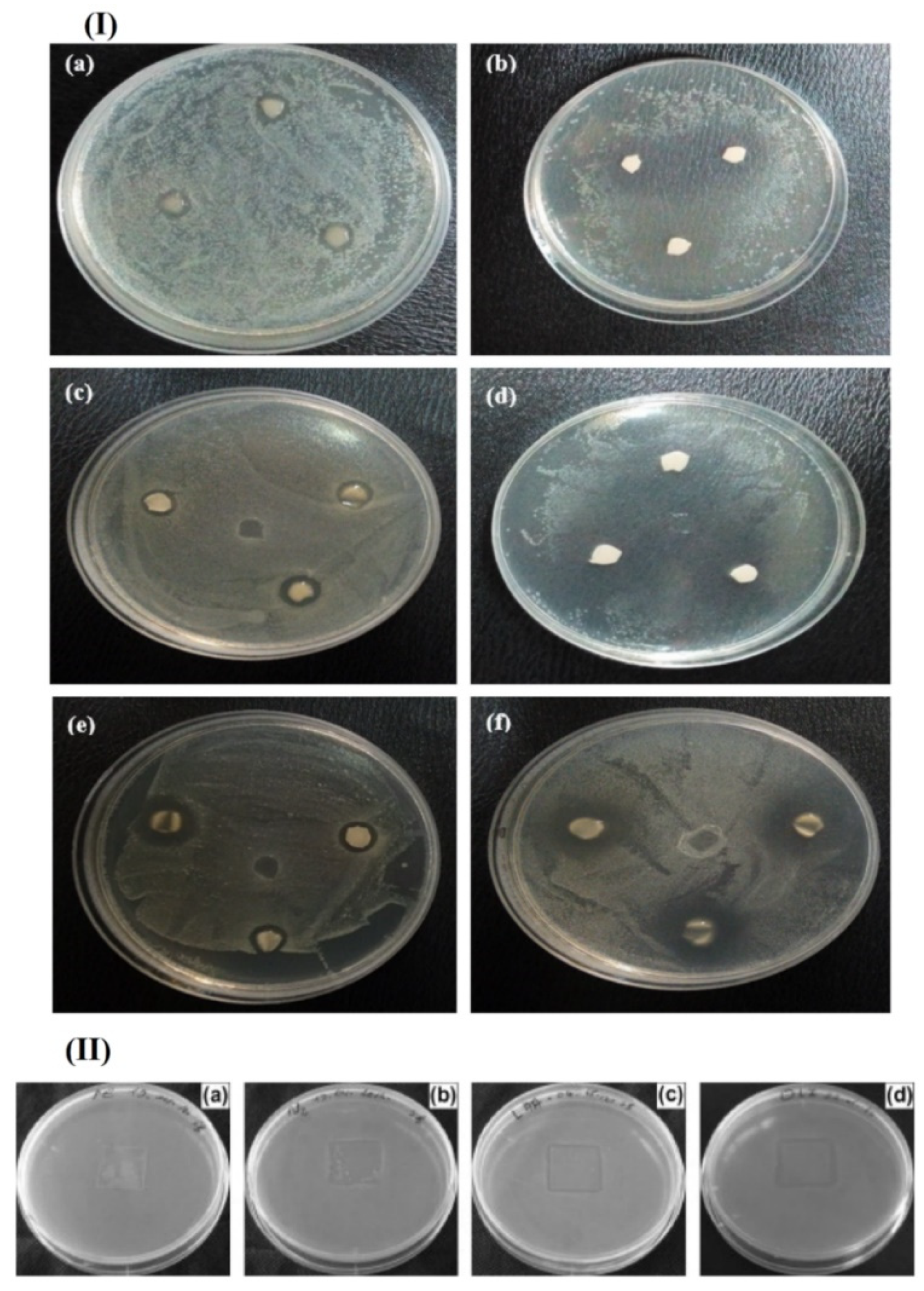 Applsci 12 01346 g006