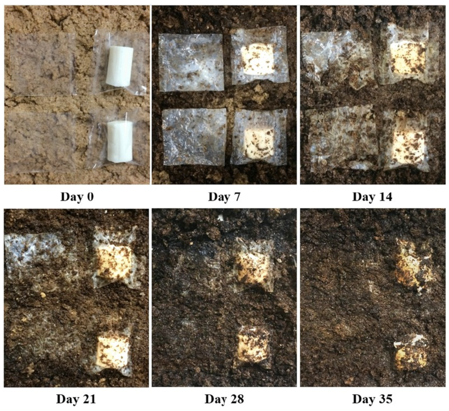 Applsci 12 01346 g007