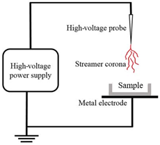 Applsci 12 01346 i001
