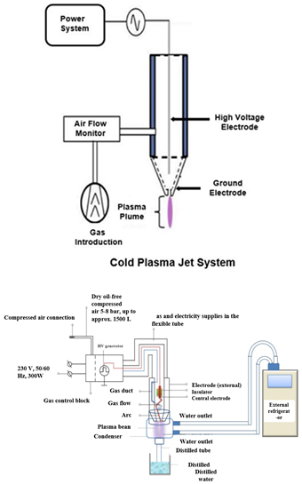 Applsci 12 01346 i005