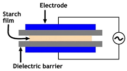 Applsci 12 01346 i006