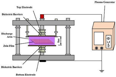 Applsci 12 01346 i011