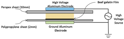 Applsci 12 01346 i013
