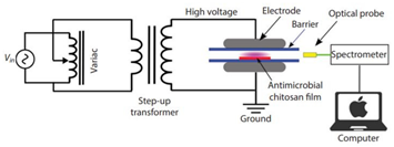 Applsci 12 01346 i014