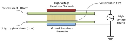 Applsci 12 01346 i015