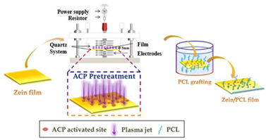 Applsci 12 01346 i020