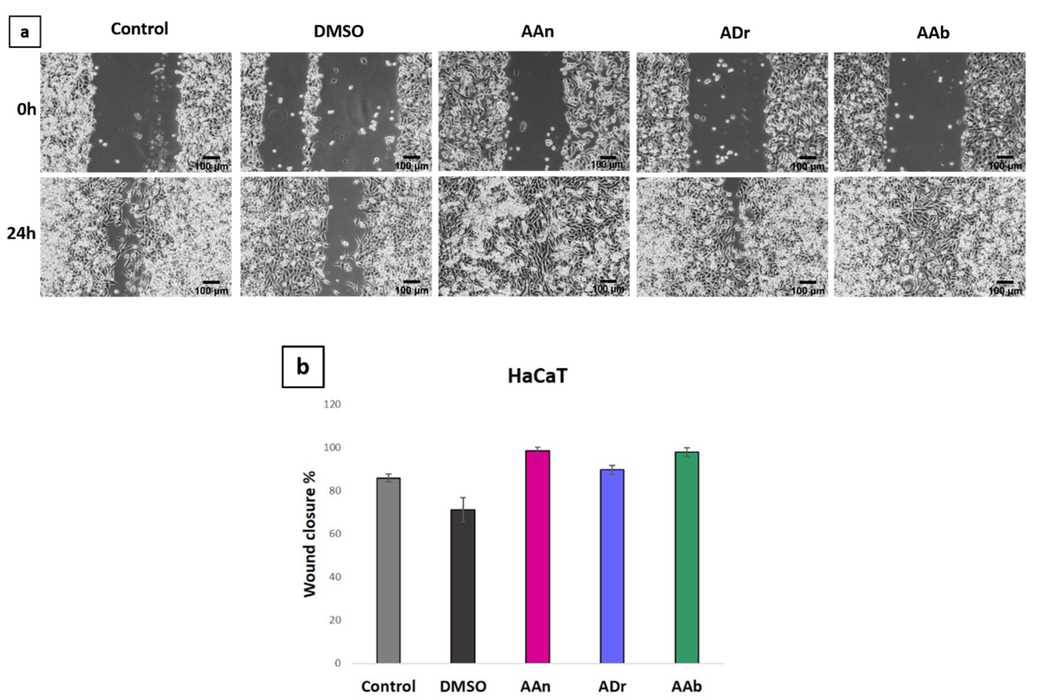 Applsci 12 01359 g004 Applsci 12 01359 g004
