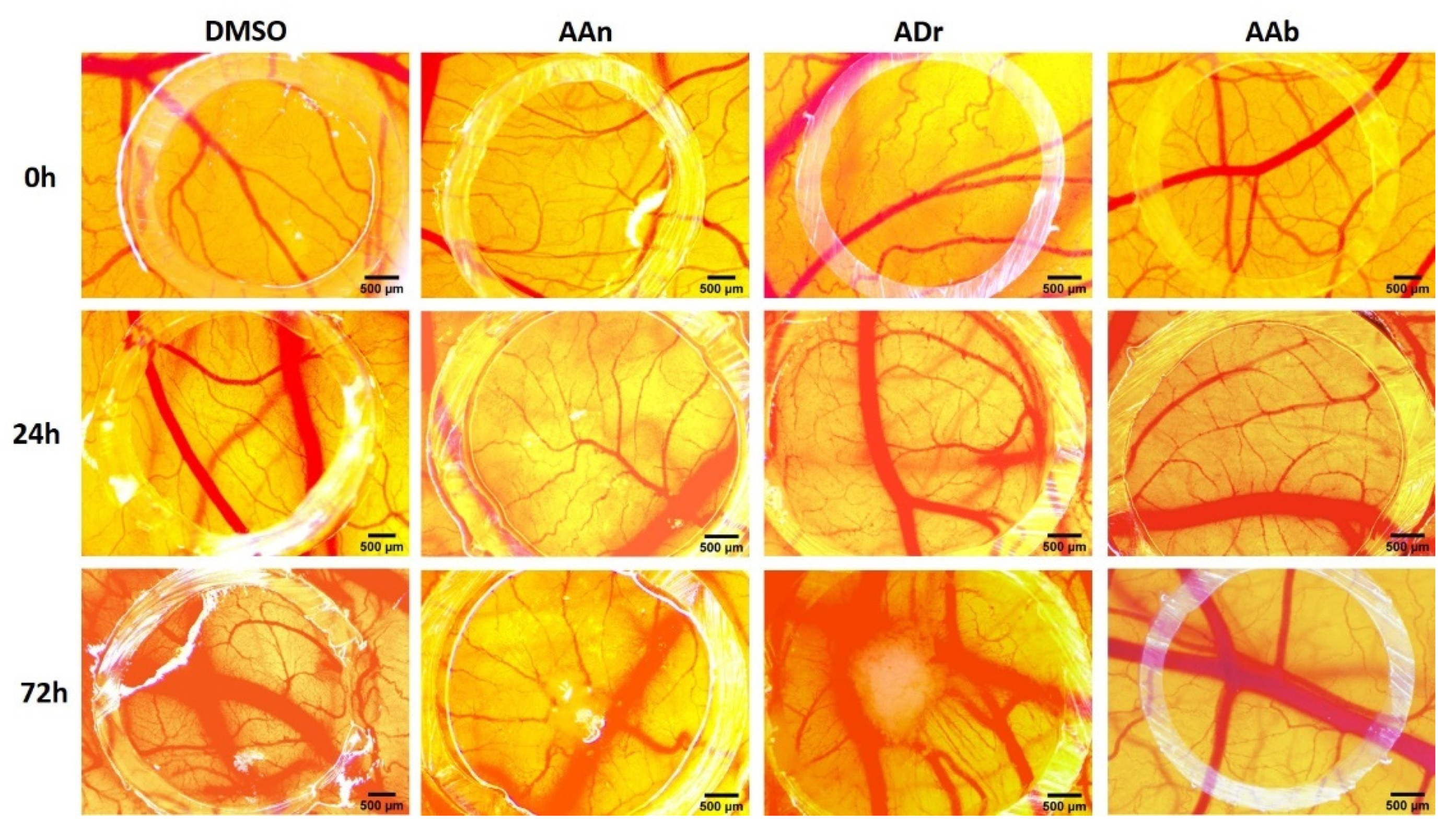 Applsci 12 01359 g005 Applsci 12 01359 g005