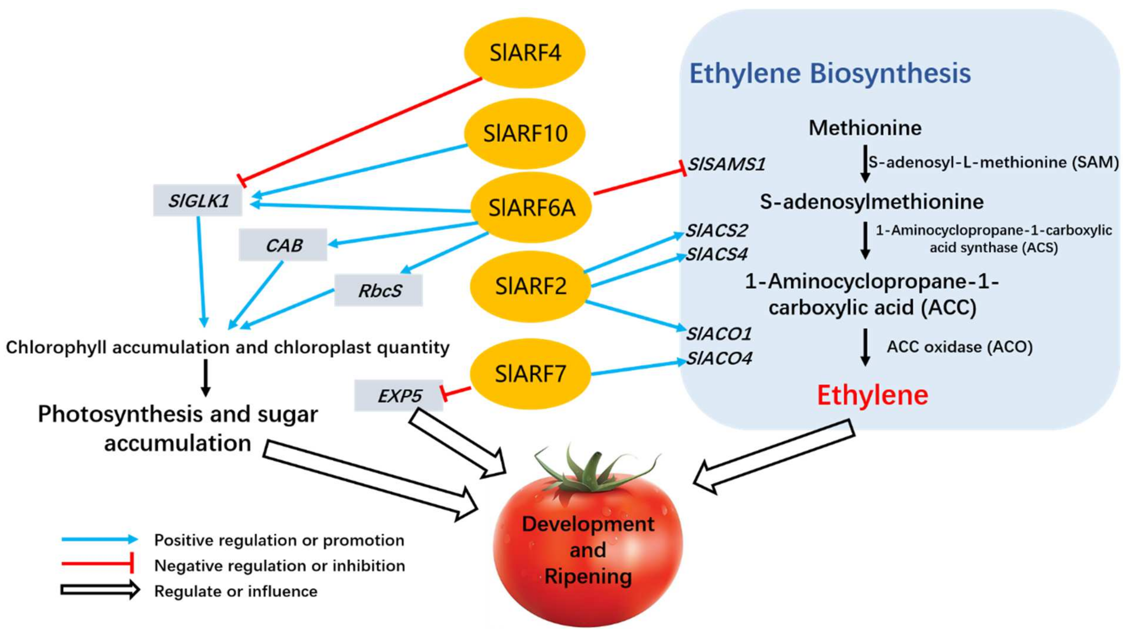 Applsci 12 01360 g003