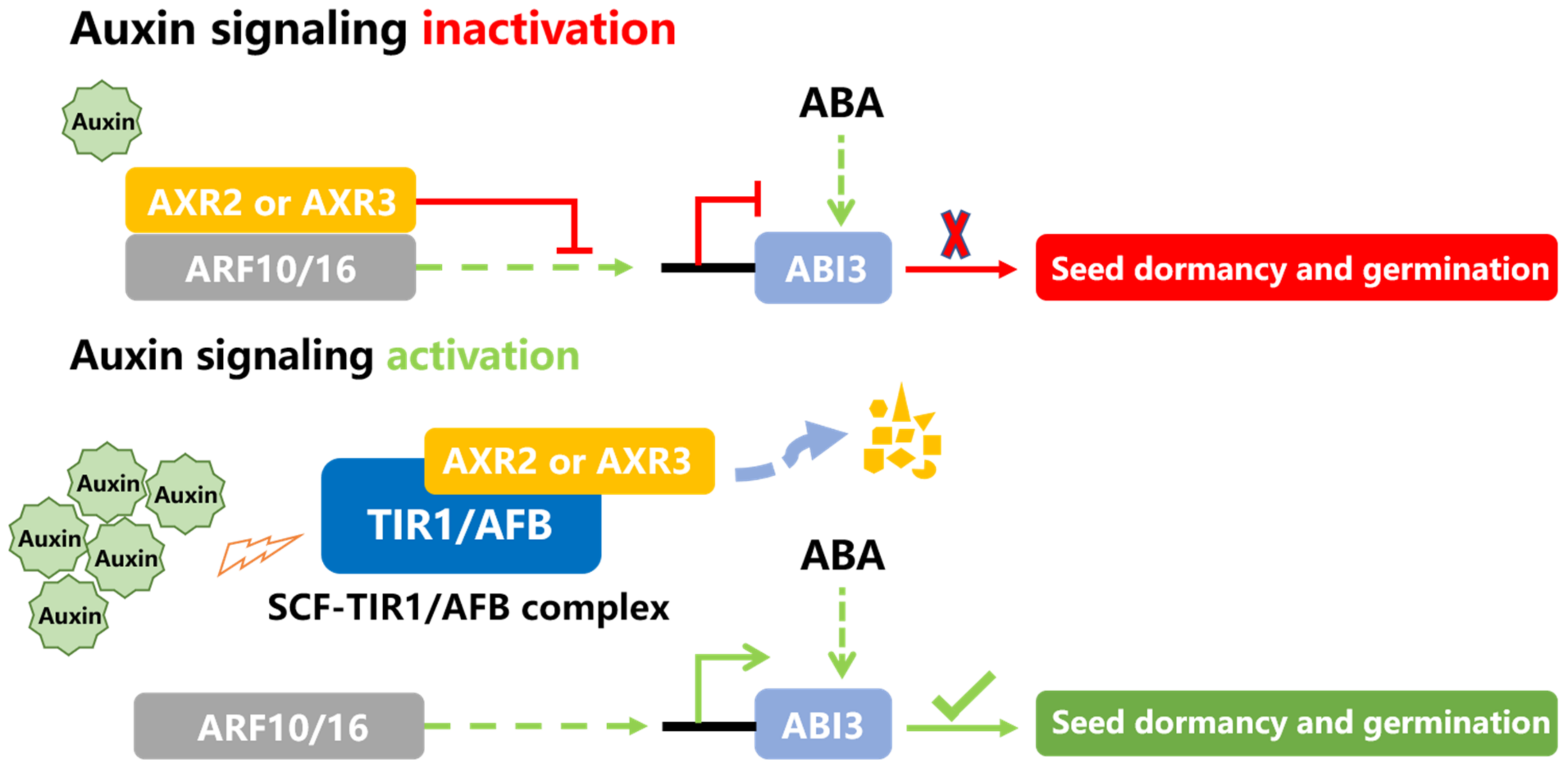 Applsci 12 01360 g004