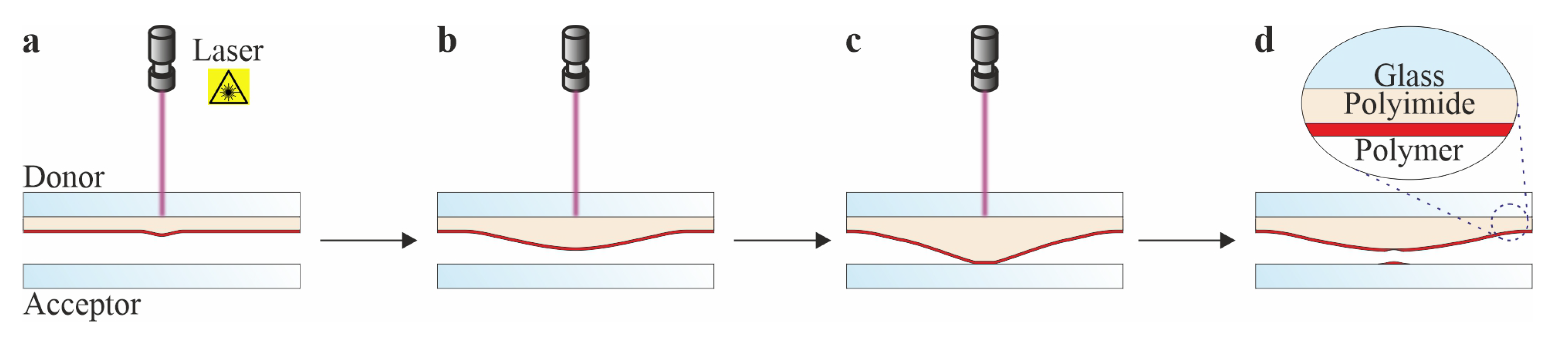 Applsci 12 01361 g001