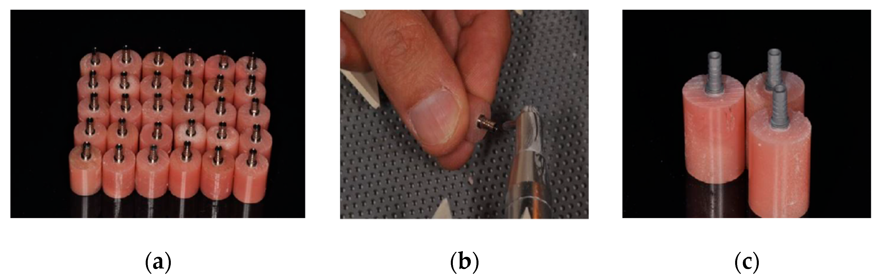 Applsci 12 01365 g001