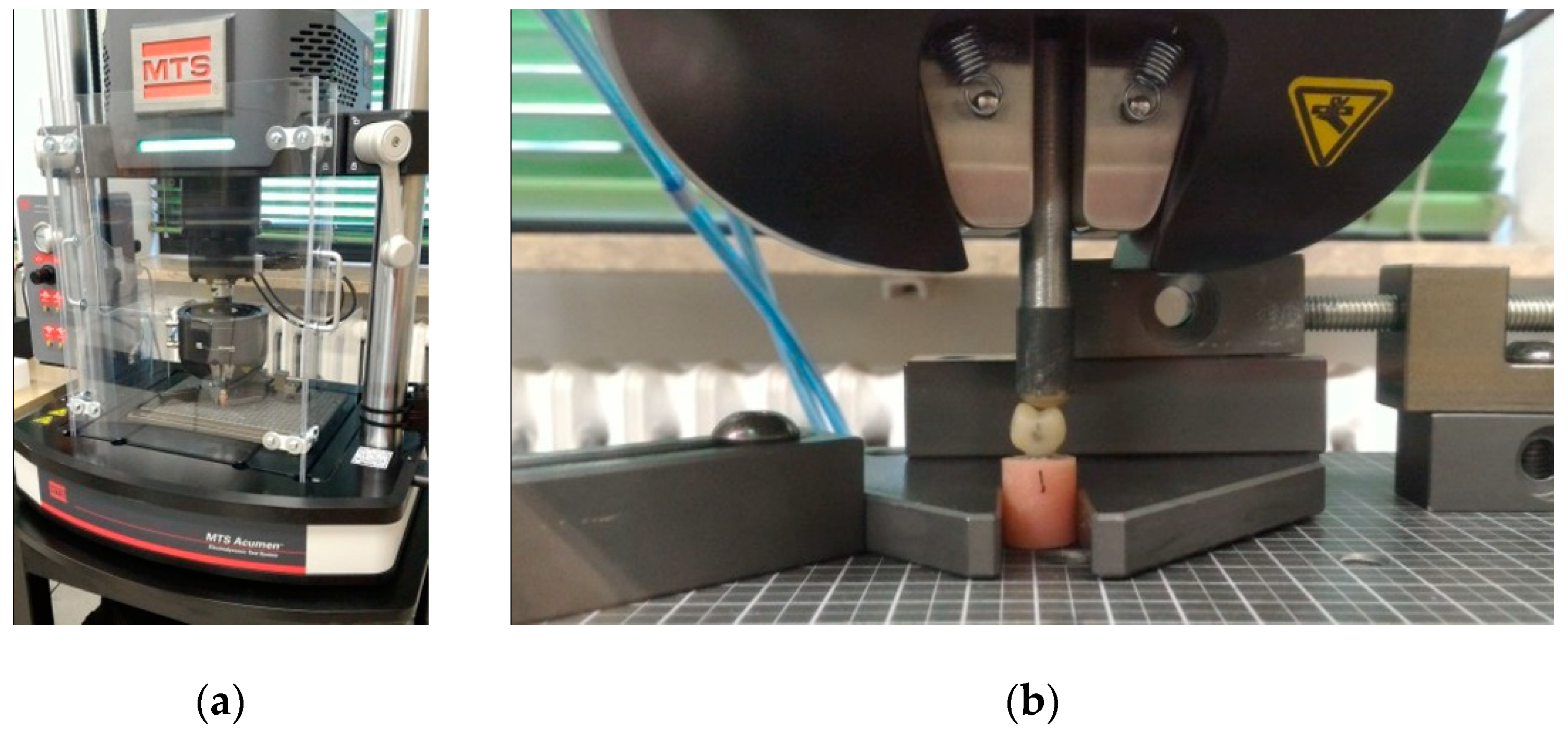 Applsci 12 01365 g006