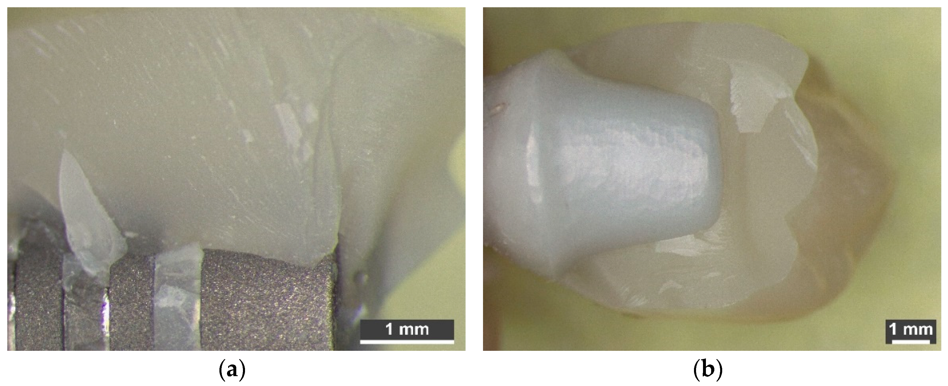 Applsci 12 01365 g008