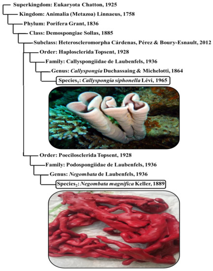 Applsci 12 01400 g001