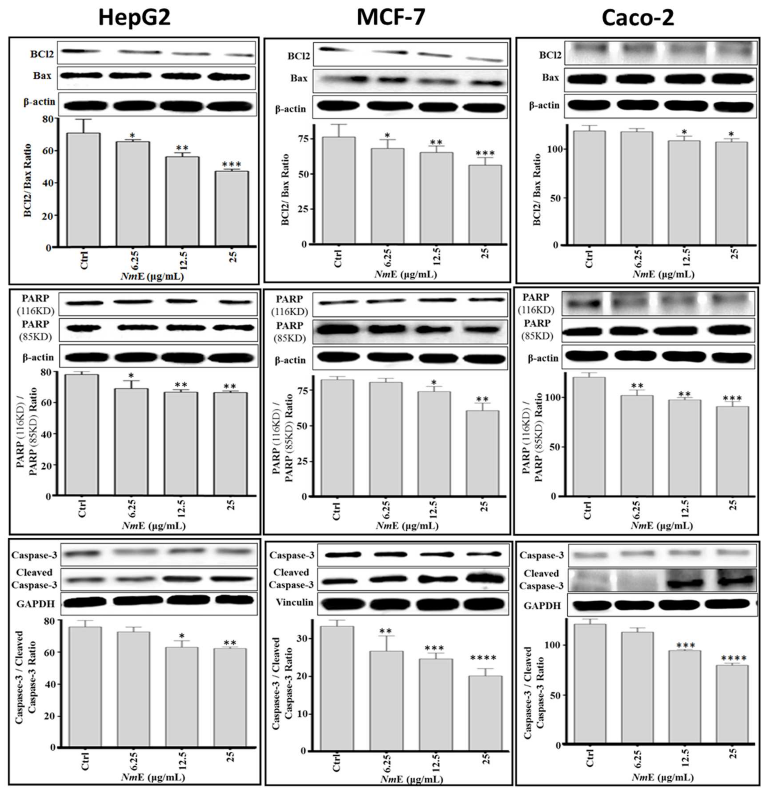 Applsci 12 01400 g008 Applsci 12 01400 g008