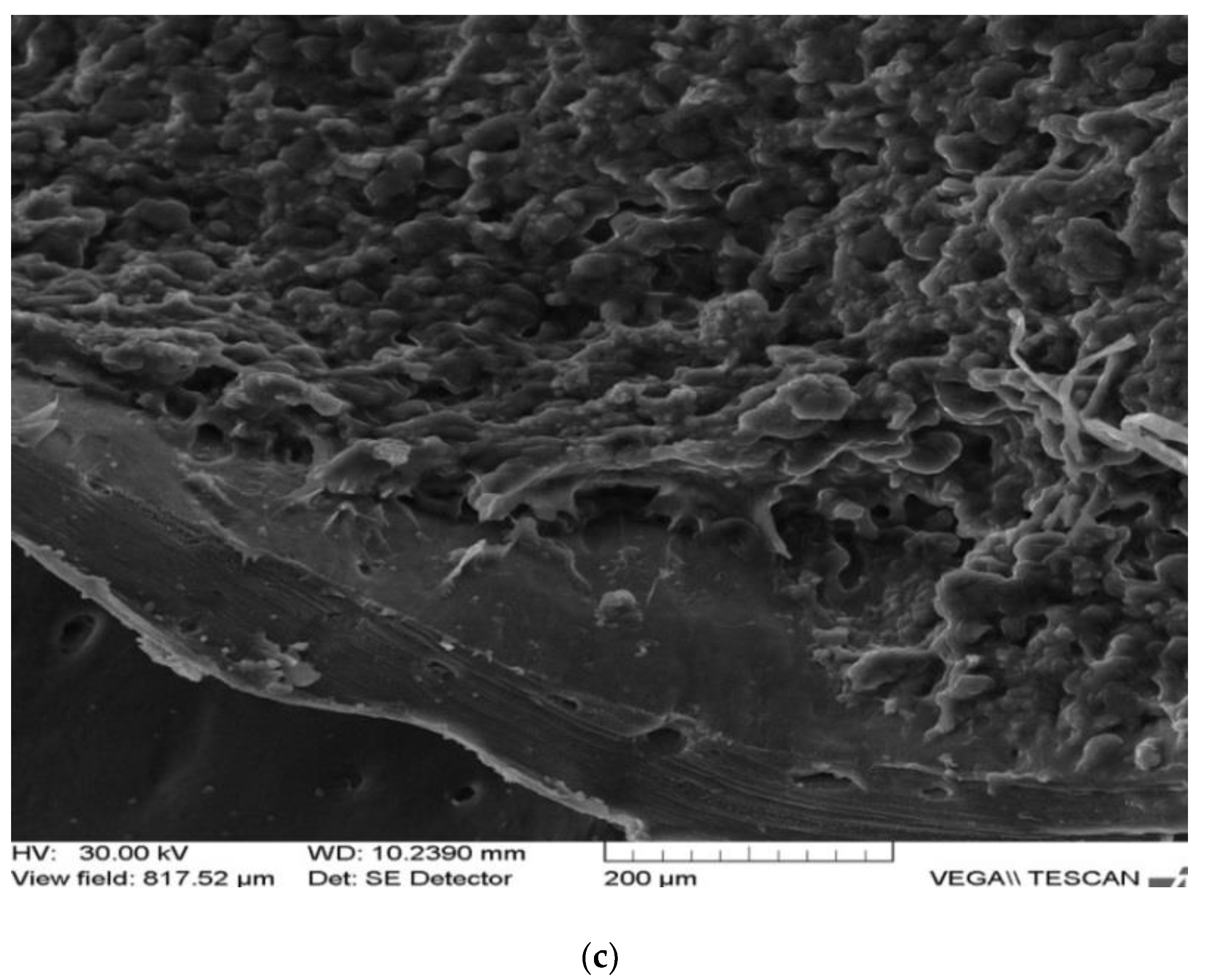 Applsci 12 01464 g001b