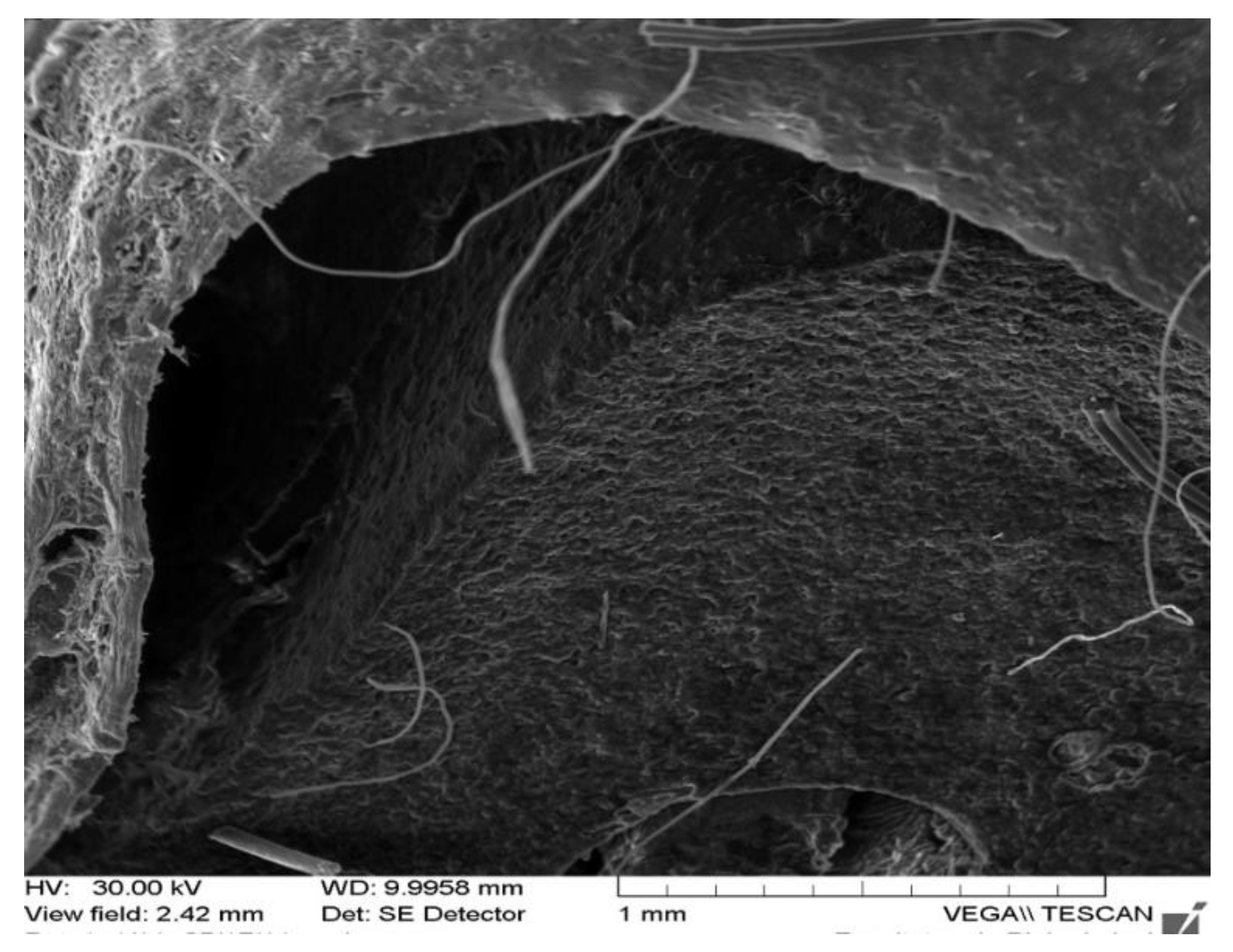 Applsci 12 01464 g003