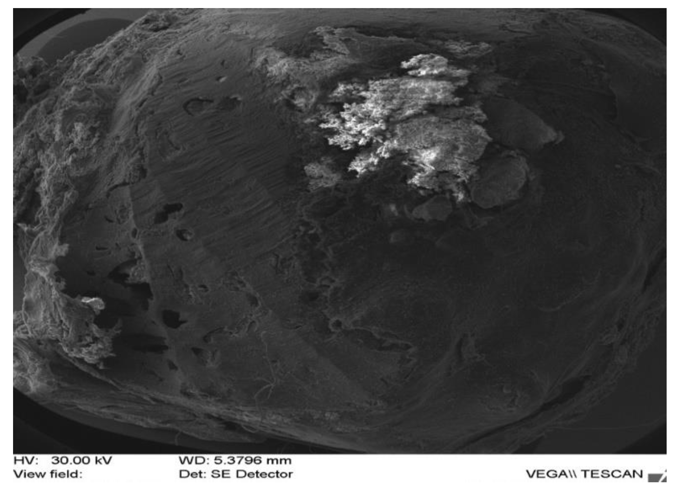 Applsci 12 01464 g004