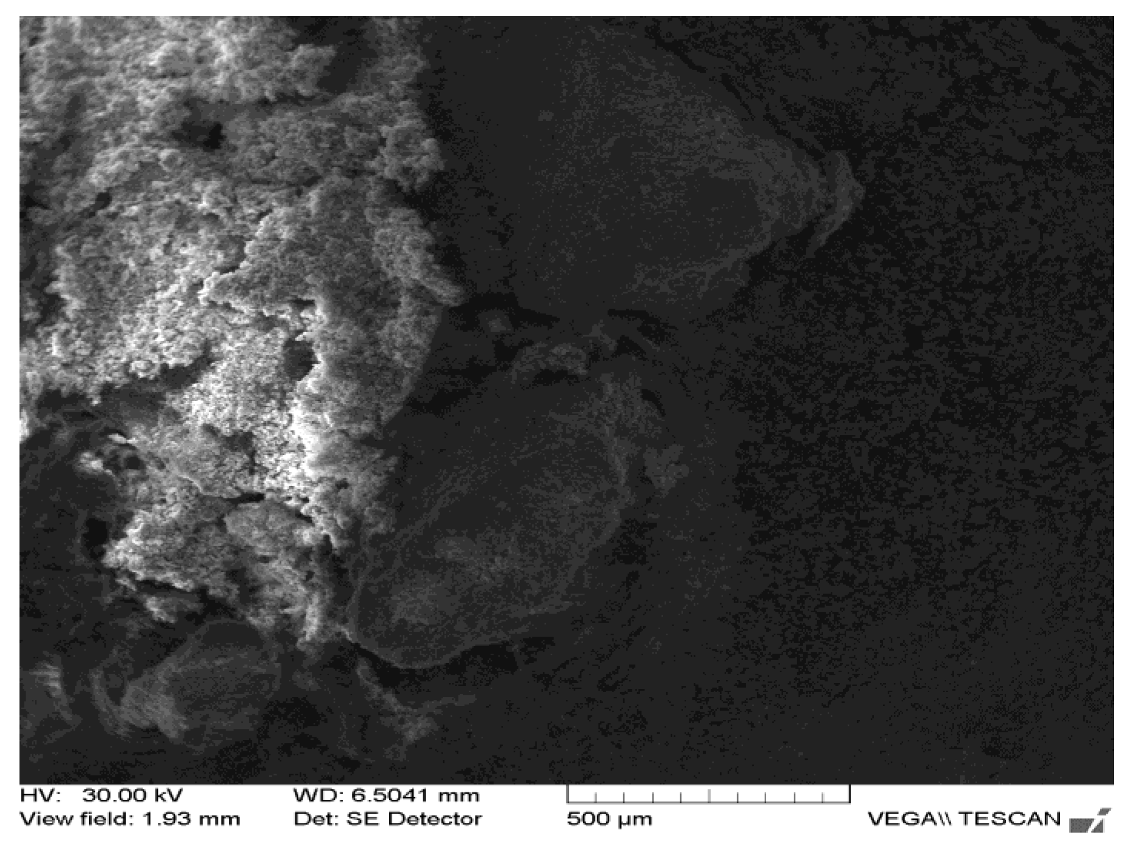 Applsci 12 01464 g005