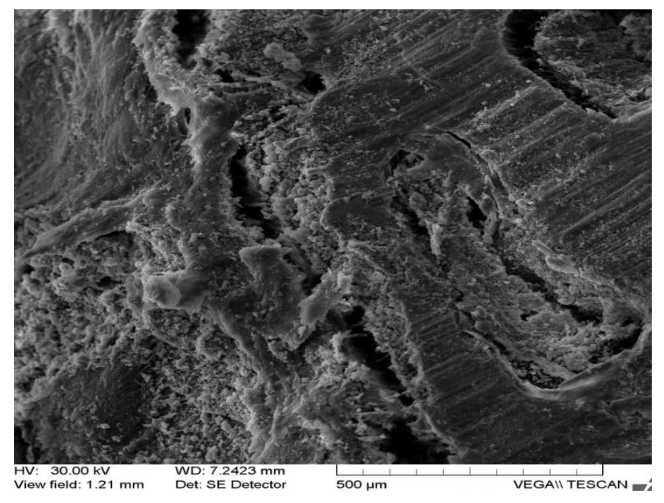 Applsci 12 01464 g006