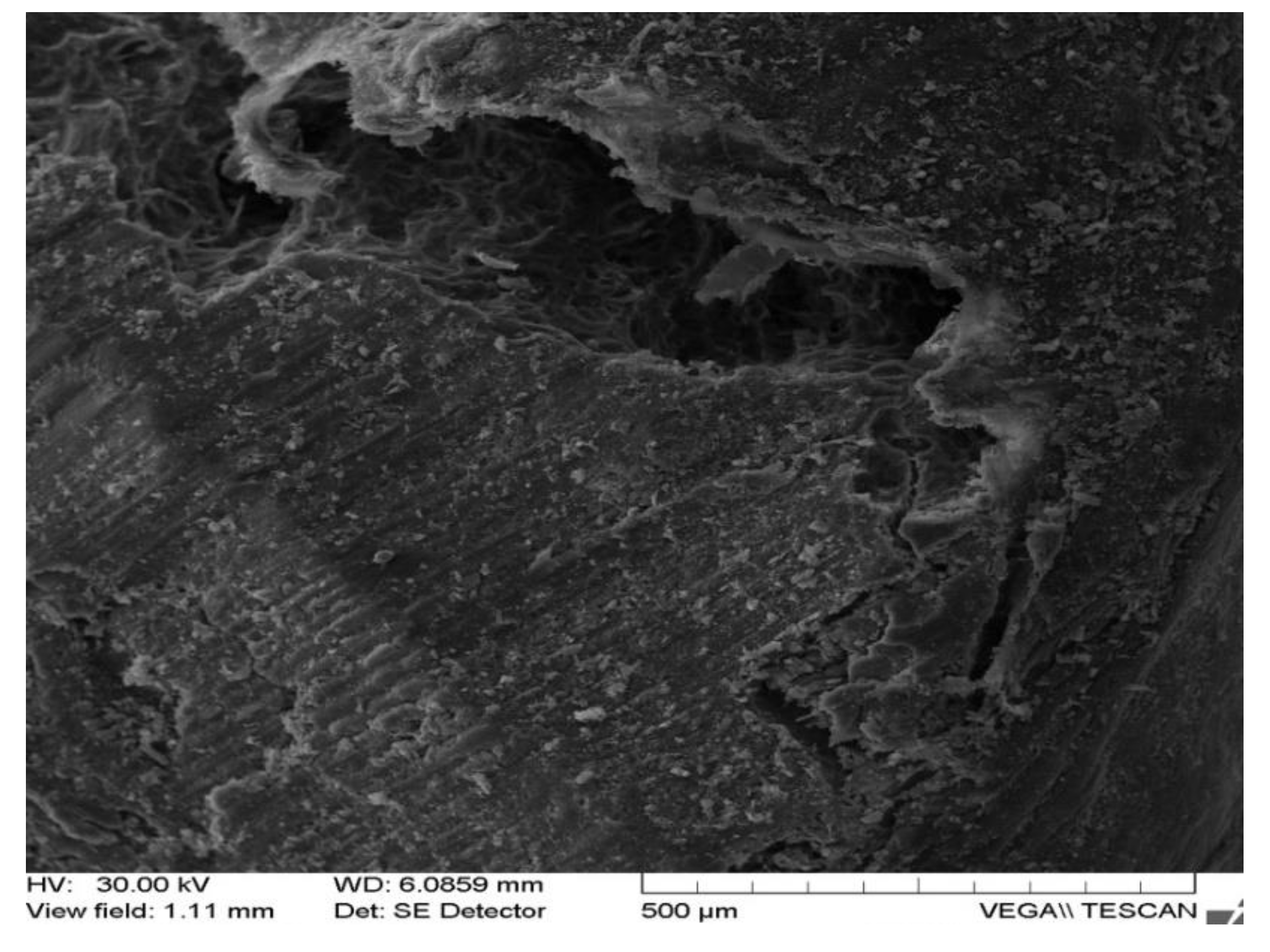 Applsci 12 01464 g007