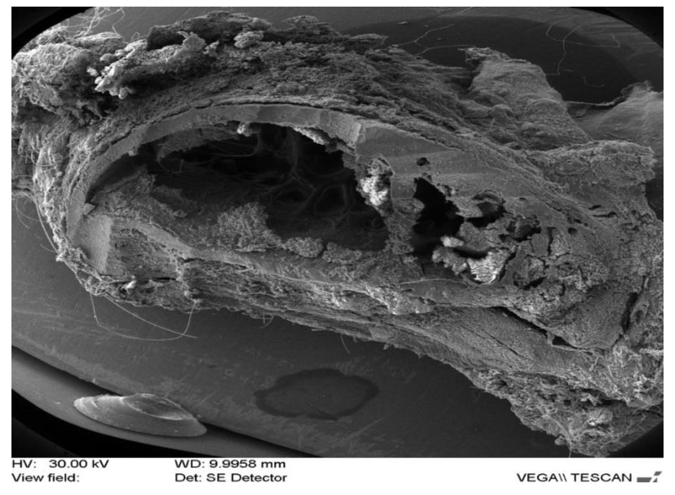 Applsci 12 01464 g008