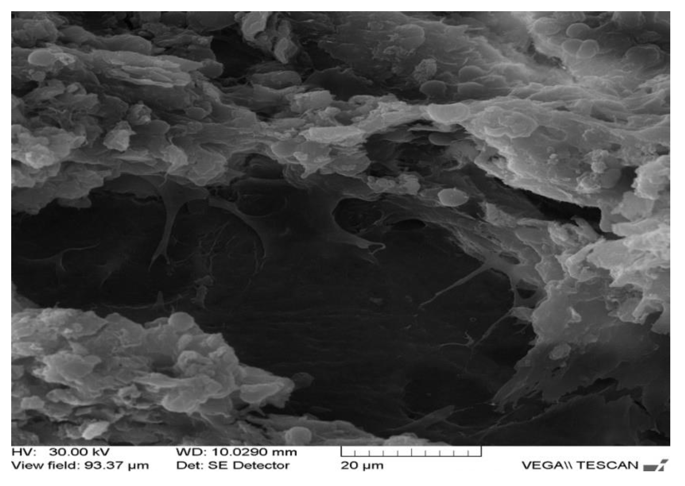 Applsci 12 01464 g009