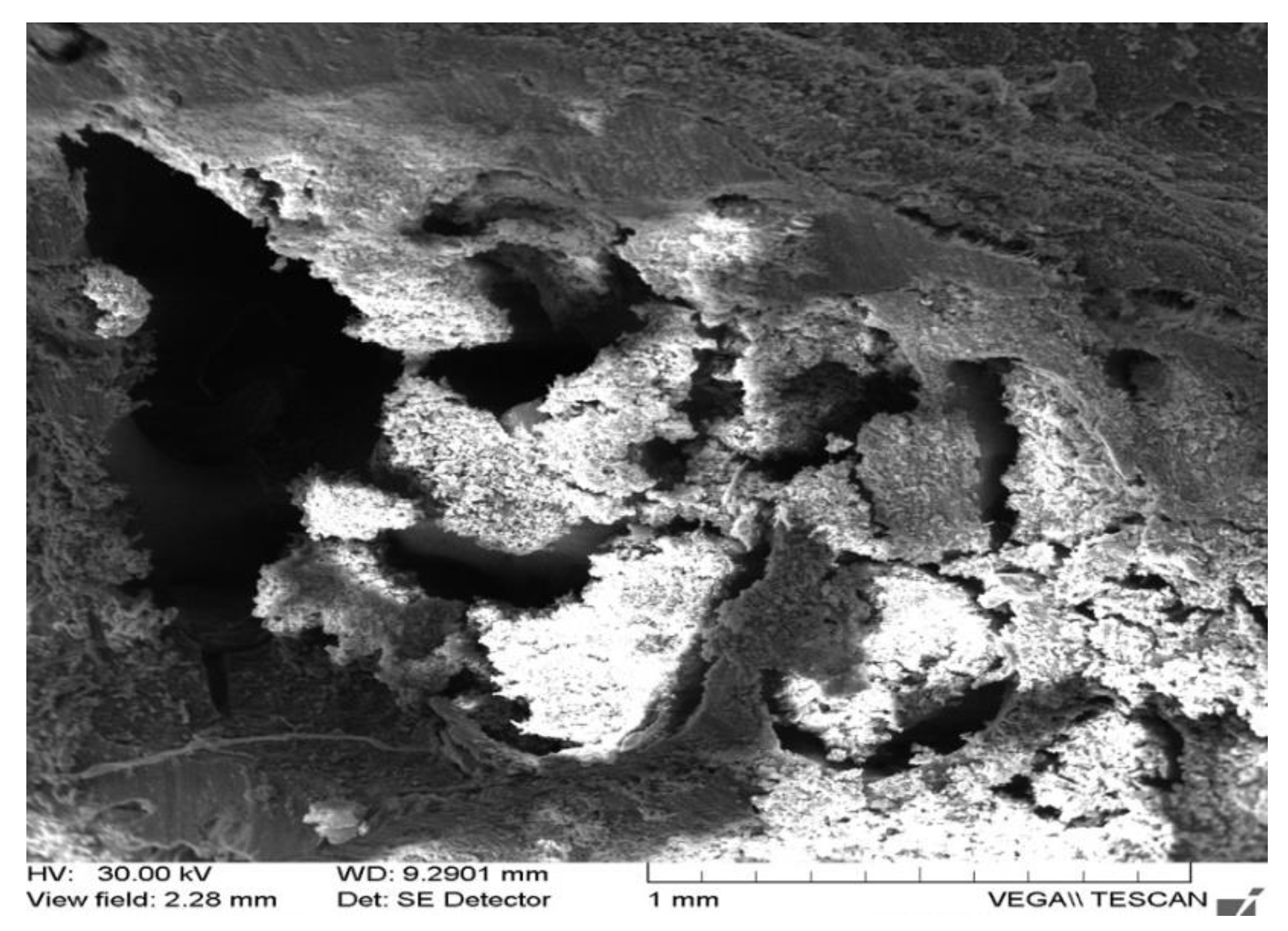 Applsci 12 01464 g010