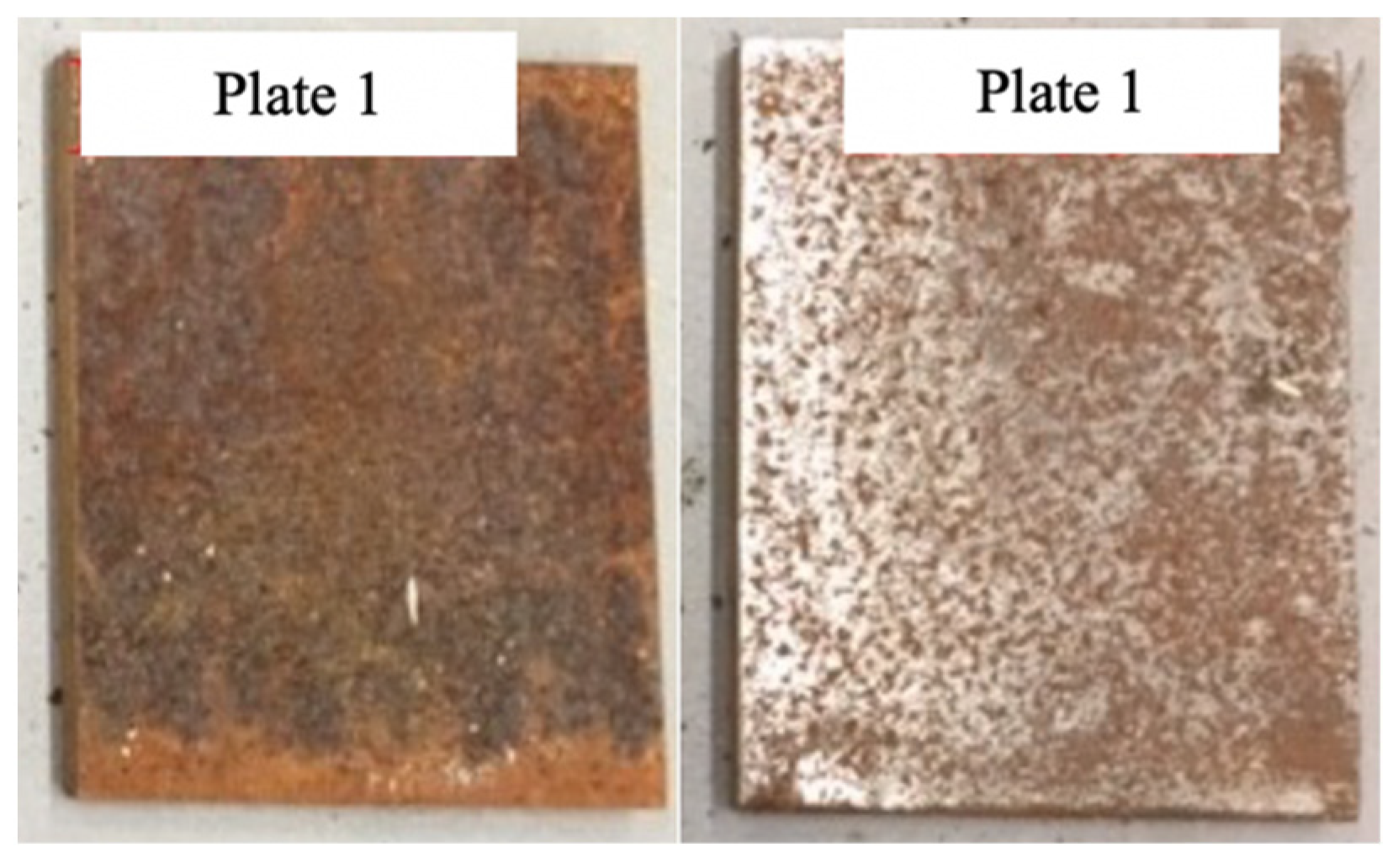 Applsci 12 01492 g013