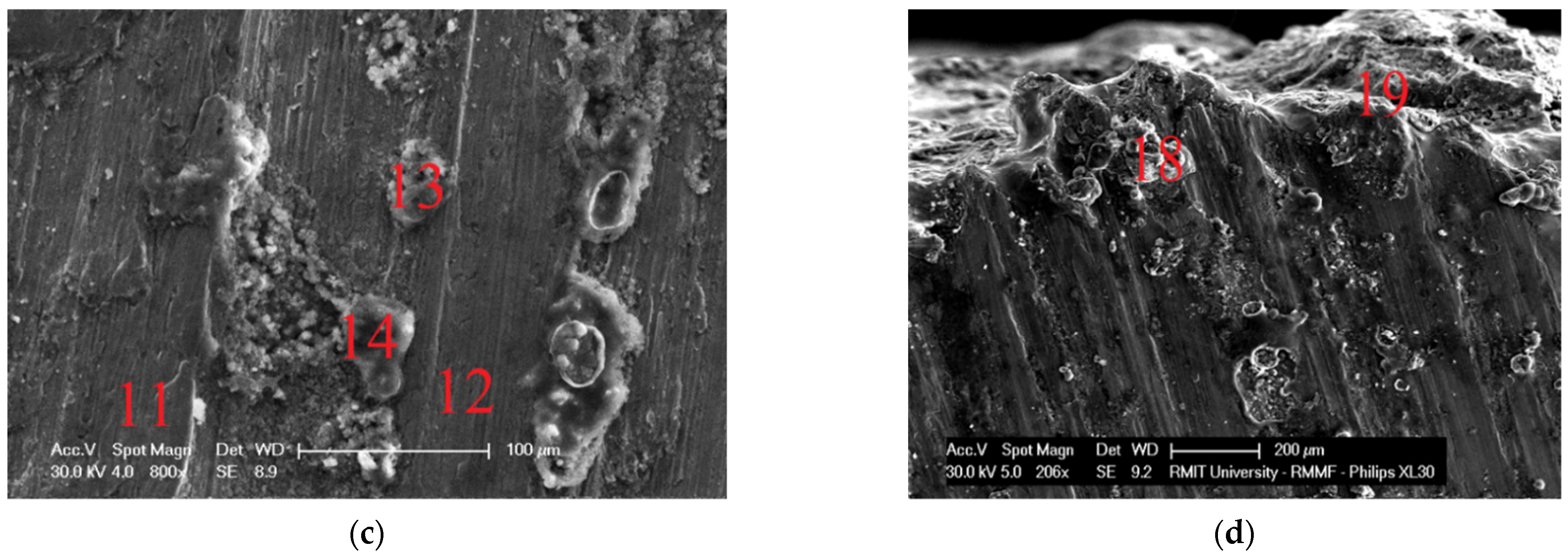 Applsci 12 01492 g015b