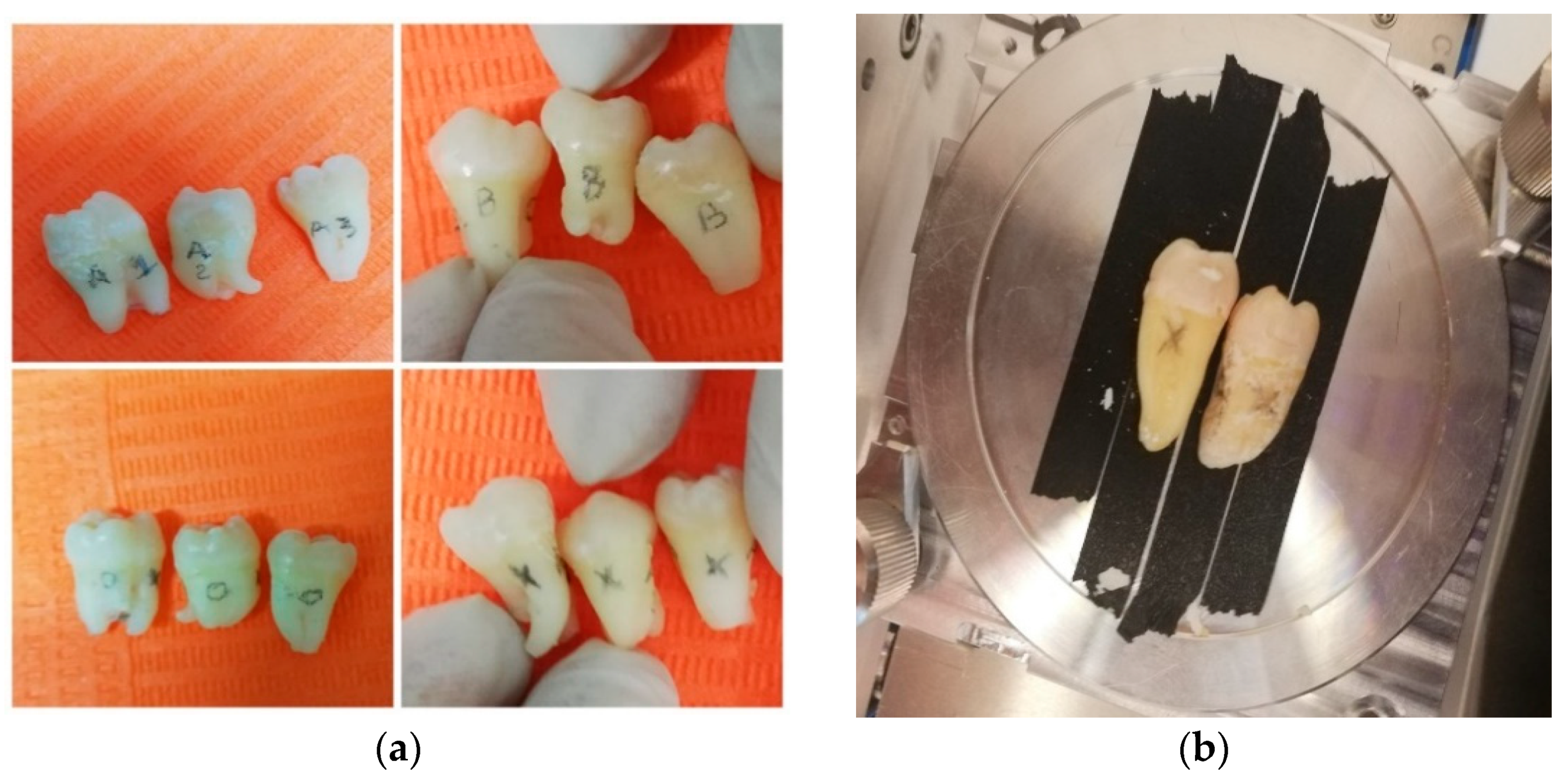 Applsci 12 01495 g001