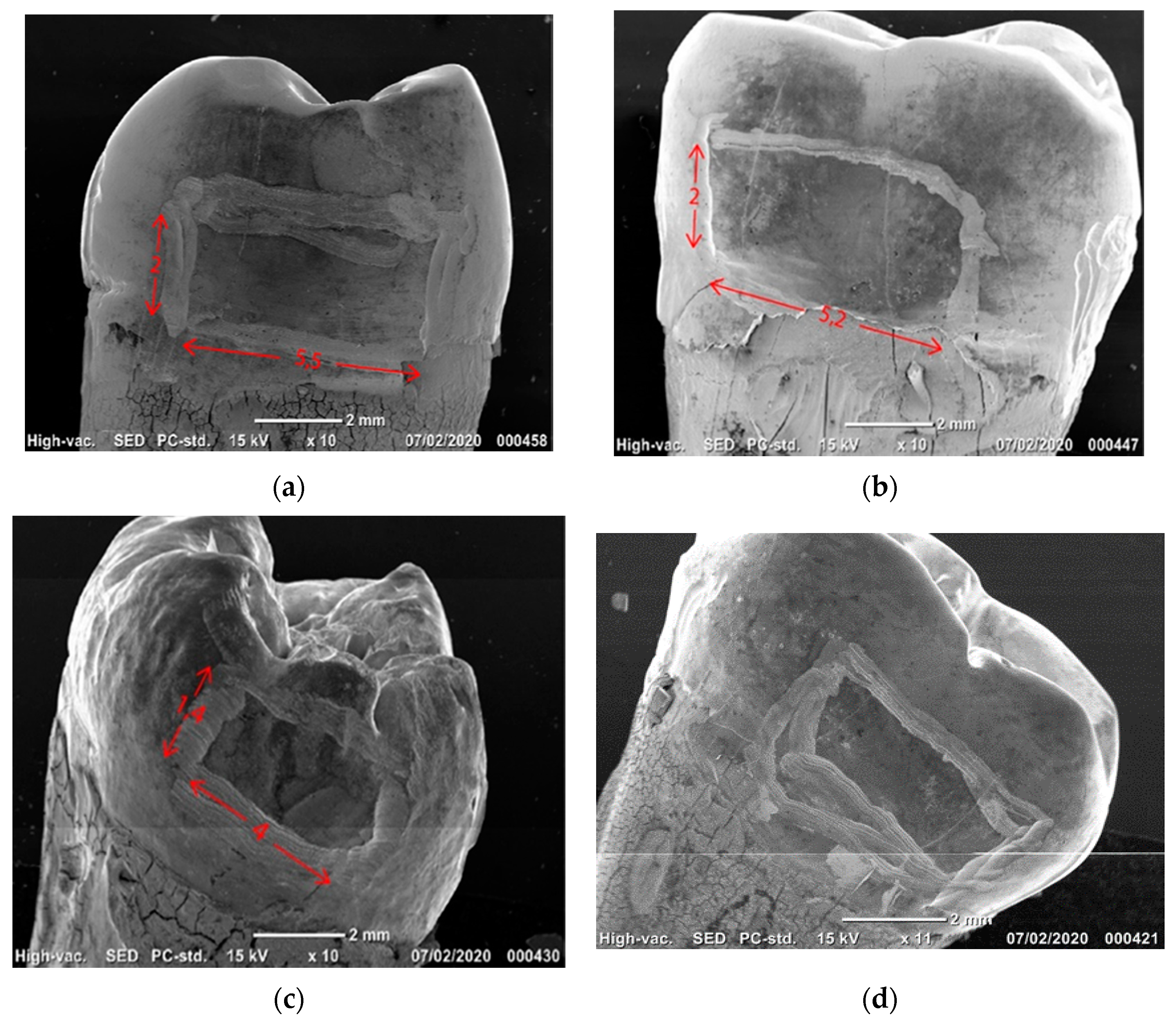 Applsci 12 01495 g002