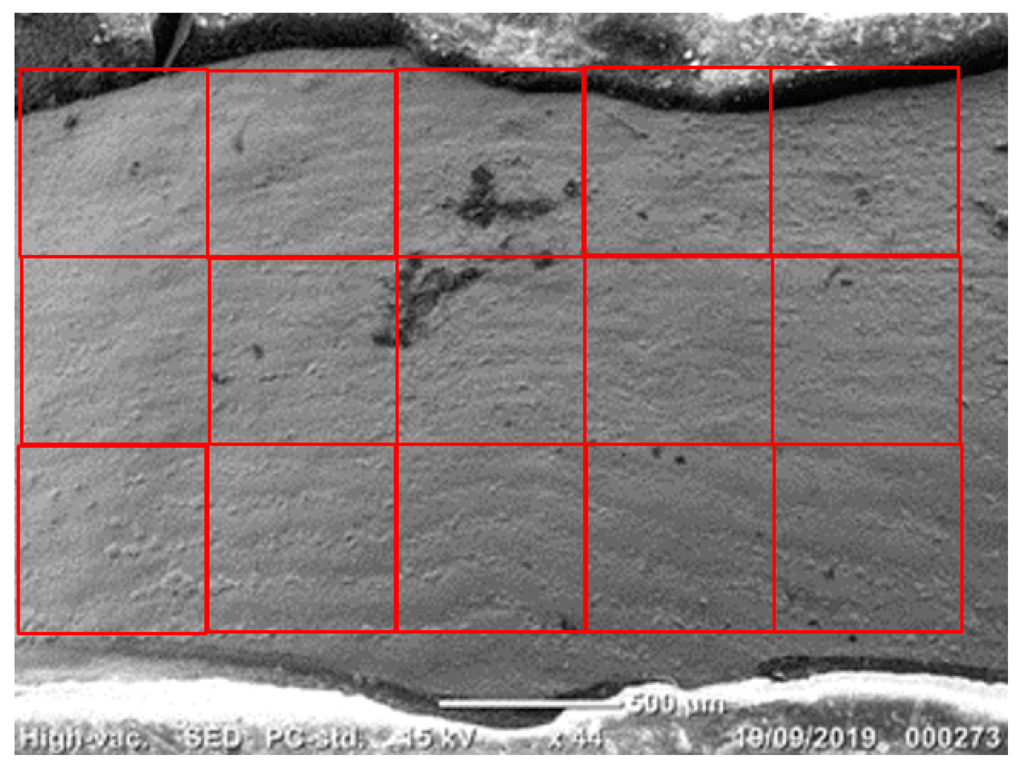 Applsci 12 01495 g003